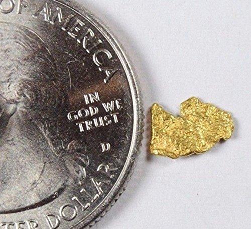 Alaskan-Yukon Bc Gold Rush Natural Nugget 0.24 Grams Genuine Alaska .10-.34