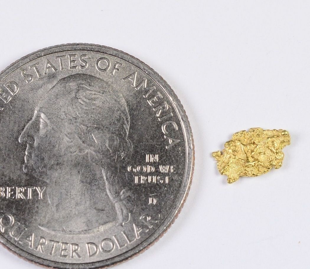 Alaskan-Yukon Bc Gold Rush Natural Nugget 0.30 Grams Genuine Alaska .10-.34