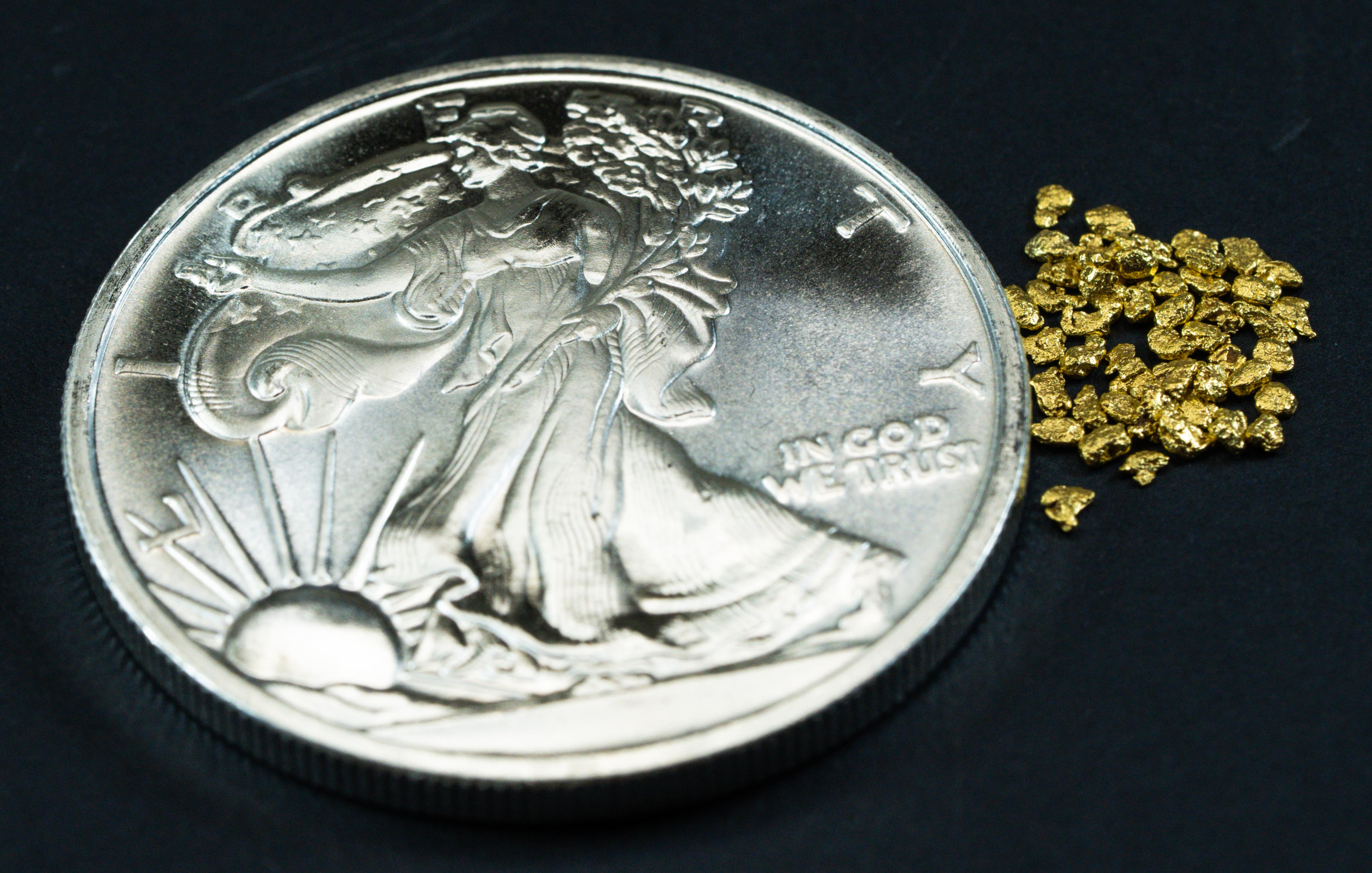 Silver 1  Oz Coin Walking Liberty .999 Silver + 50 Piece Lot of #16 Mesh