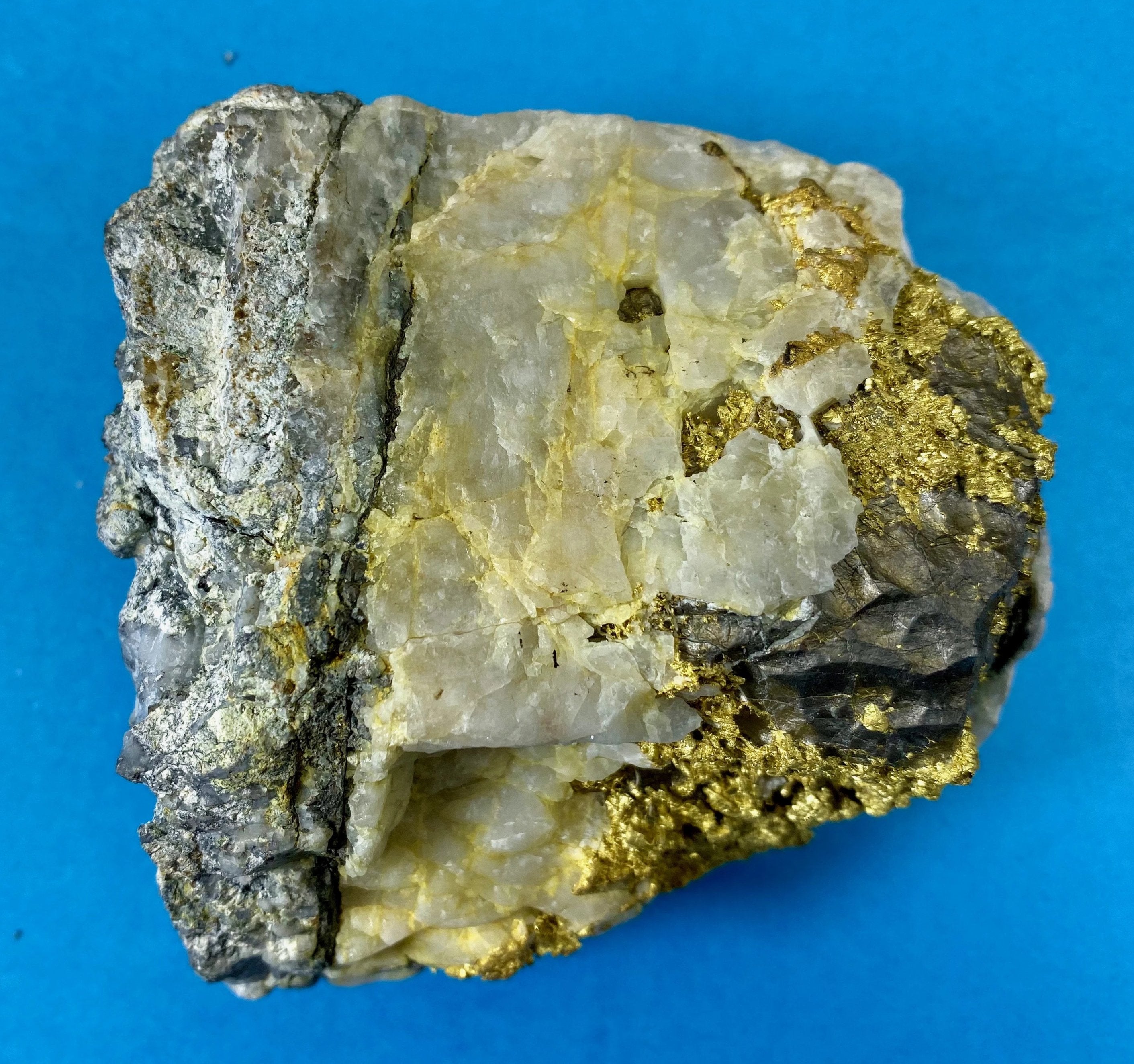 Large Gold Bearing Quartz Specimen Sierra Mining District California 1111.62 Grams Genuine