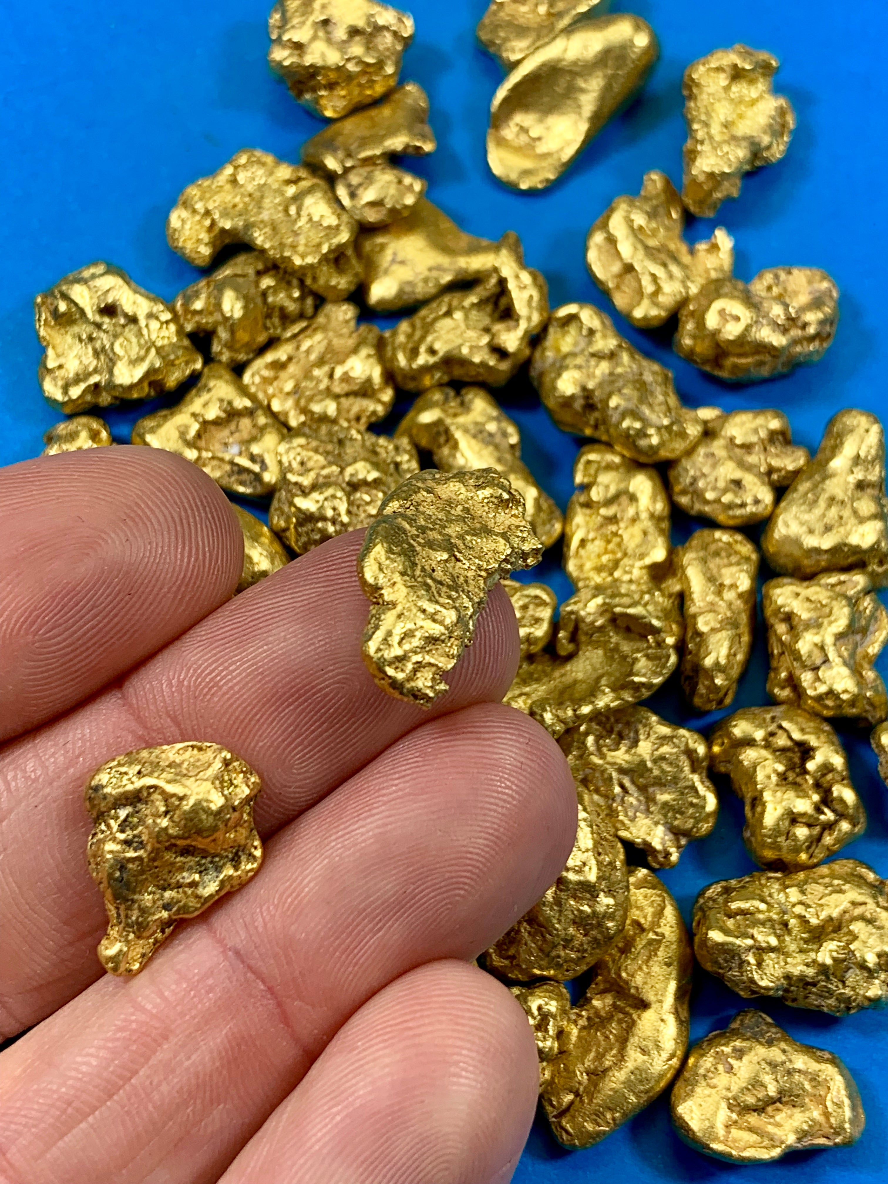 Alaskan BC Natural Gold Nugget 311.00 Gram lot of 5 to 10 gram Nuggets Genuine 10 Troy Oz B&C