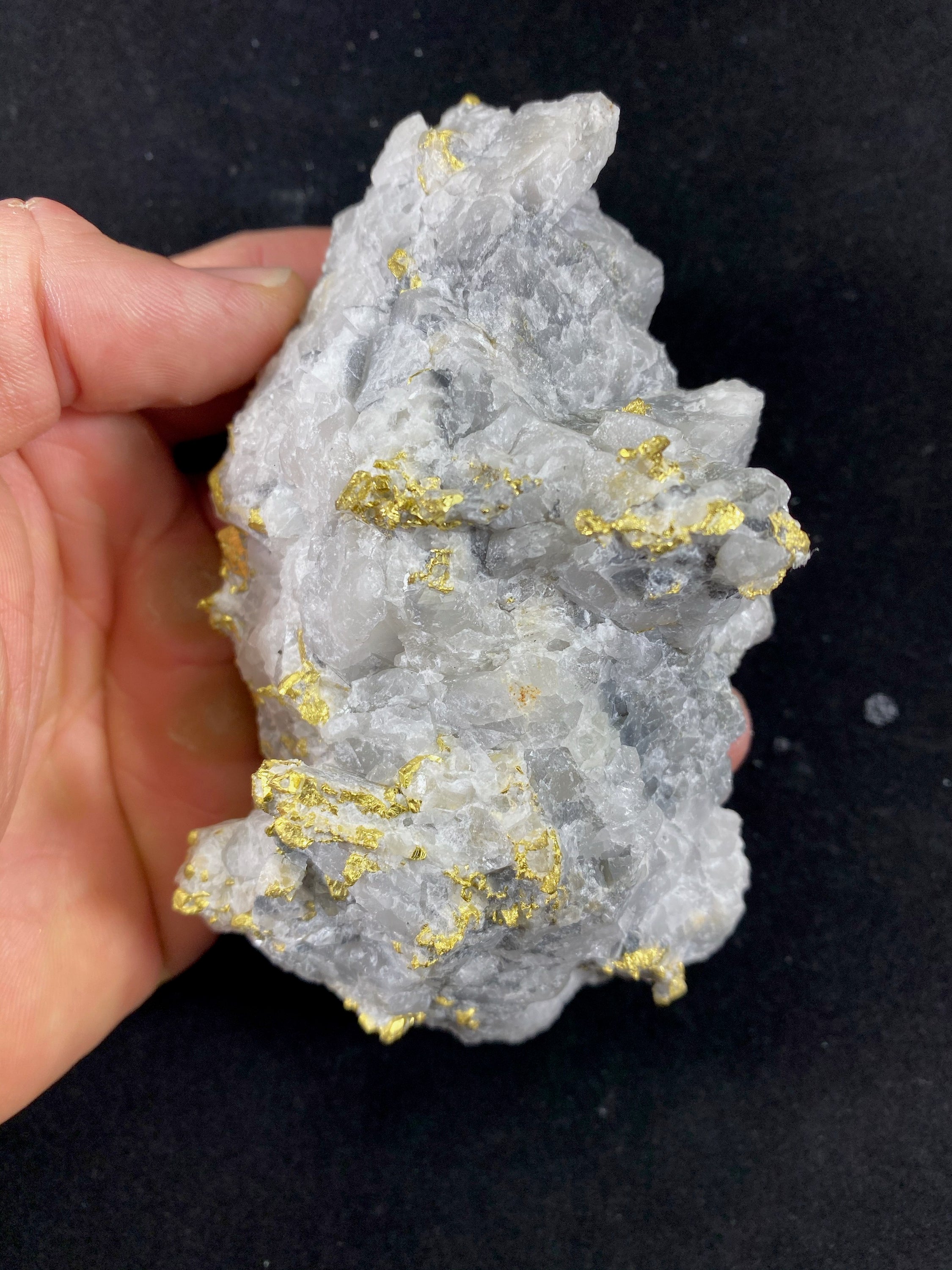 Hand Etched Gold Bearing Quartz Specimen Original 16-1 Mine California 492.24 Grams 14.02 OZ Genuine