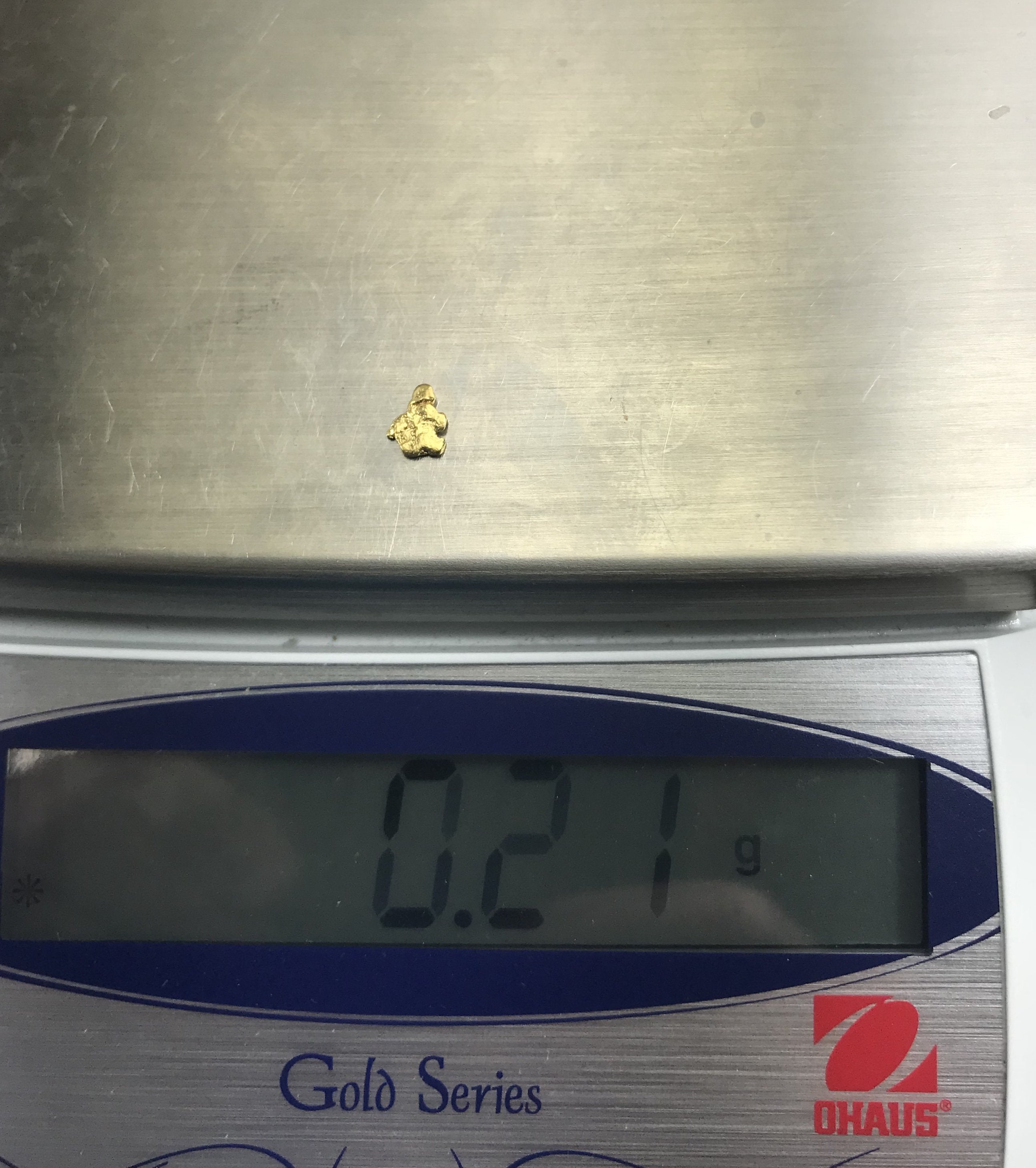 Alaskan-Yukon Bc Gold Rush Natural Nugget 0.21 Grams Genuine Alaska .10-.34