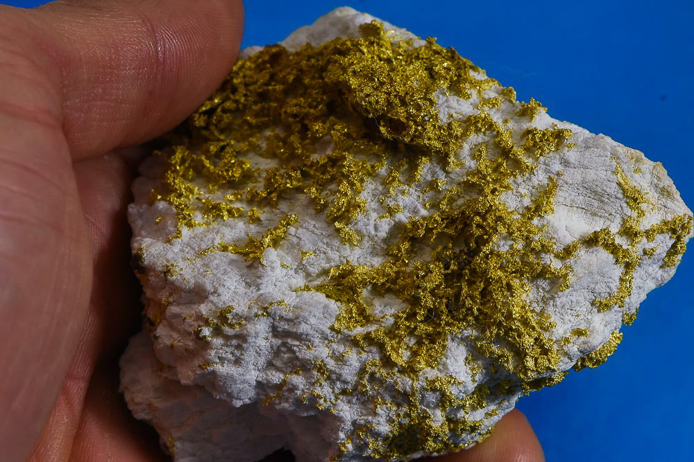 Large Gold Bearing Quartz Specimen Sierra Mining District California 298.37 Grams 9.59 OZ Genuine