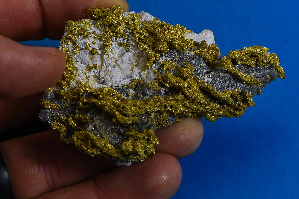 Large Gold Bearing Quartz Specimen Sierra Mining District California 113.10 Grams3.63 OZ Genuine