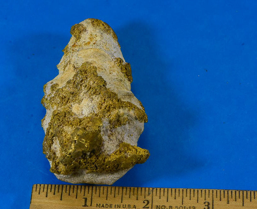 Large Gold Bearing Quartz Specimen Sierra Mining District California 208.69Grams 6.71 OZ Genuine