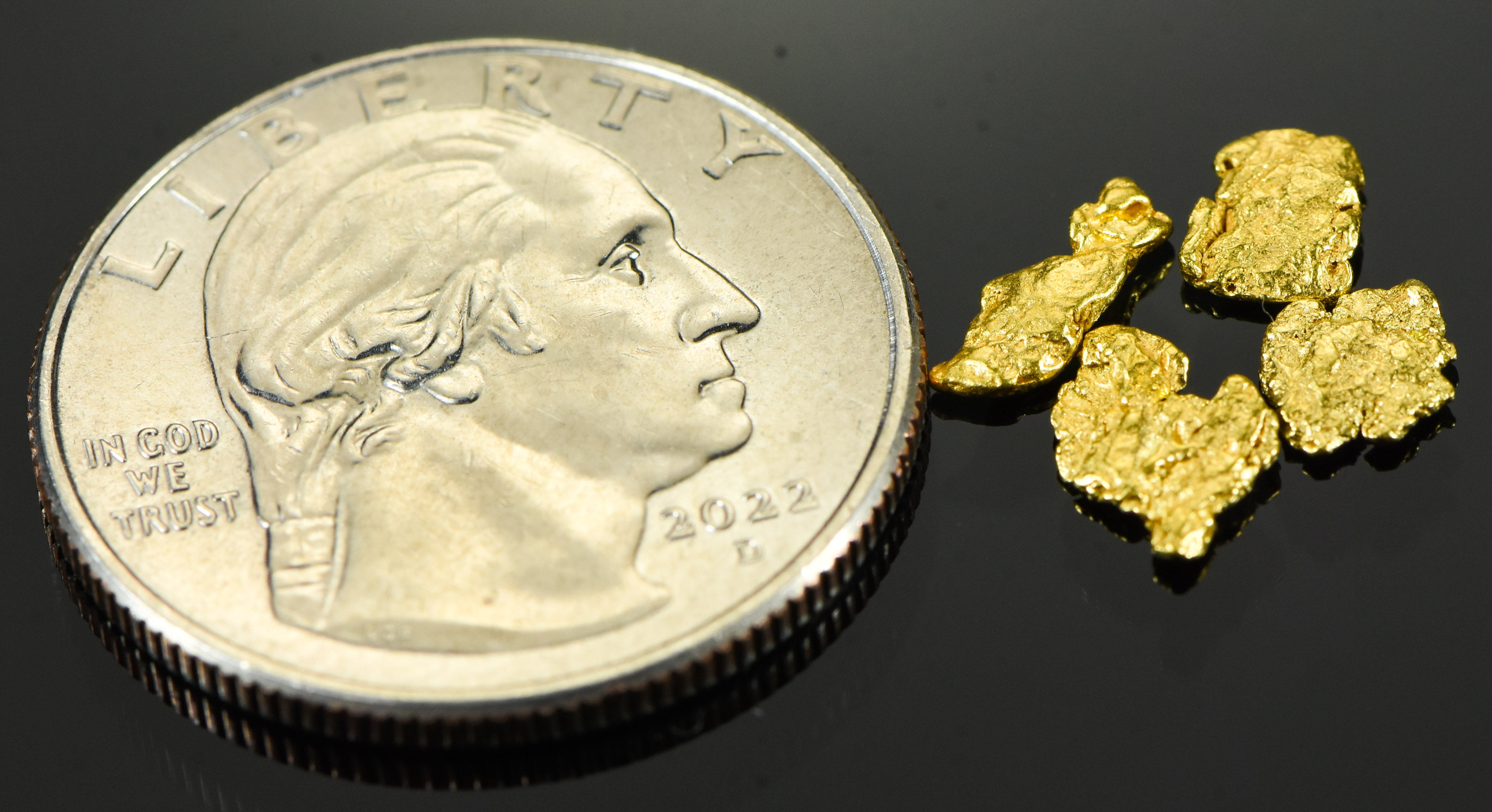Alaskan Yukon BC Gold Rush Nuggets #6 Mesh 1 Gram of Fines