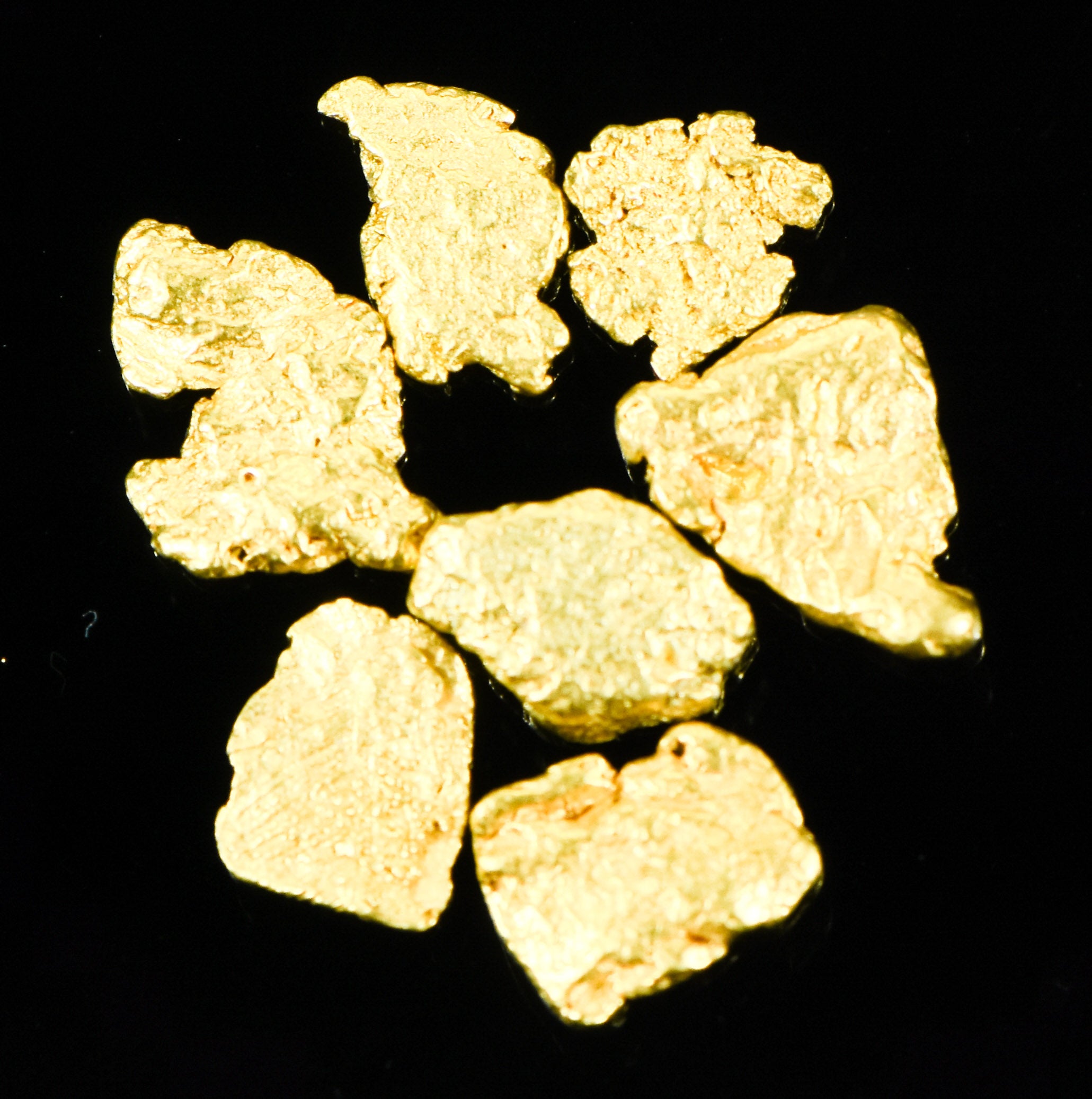 Alaskan Yukon BC Gold Rush Nugge #6 Mesh 1 DWT 1.55 Grams of Fines 1/20 OUNCE