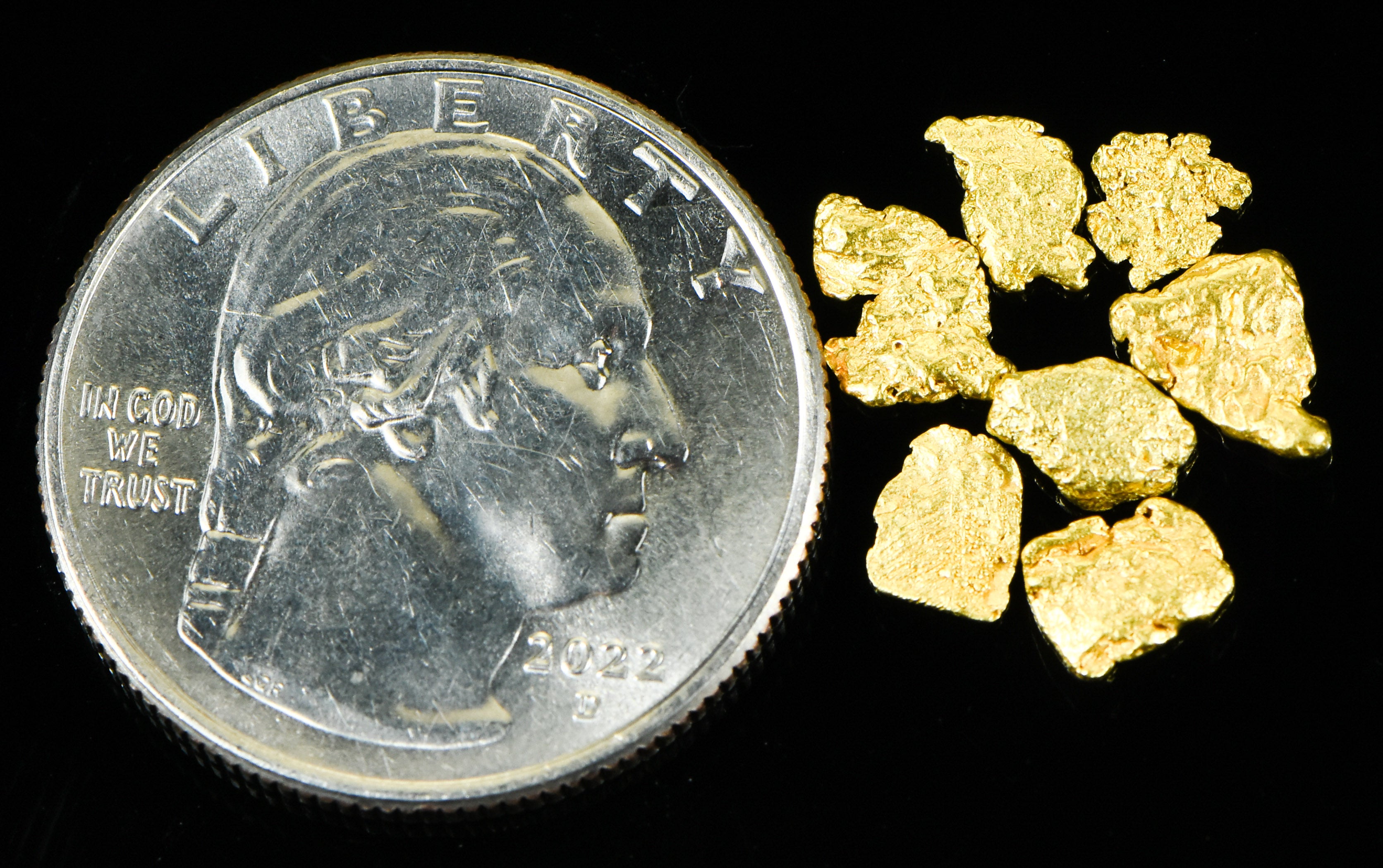 Alaskan Yukon BC Gold Rush Nugge #6 Mesh 1 DWT 1.55 Grams of Fines 1/20 OUNCE
