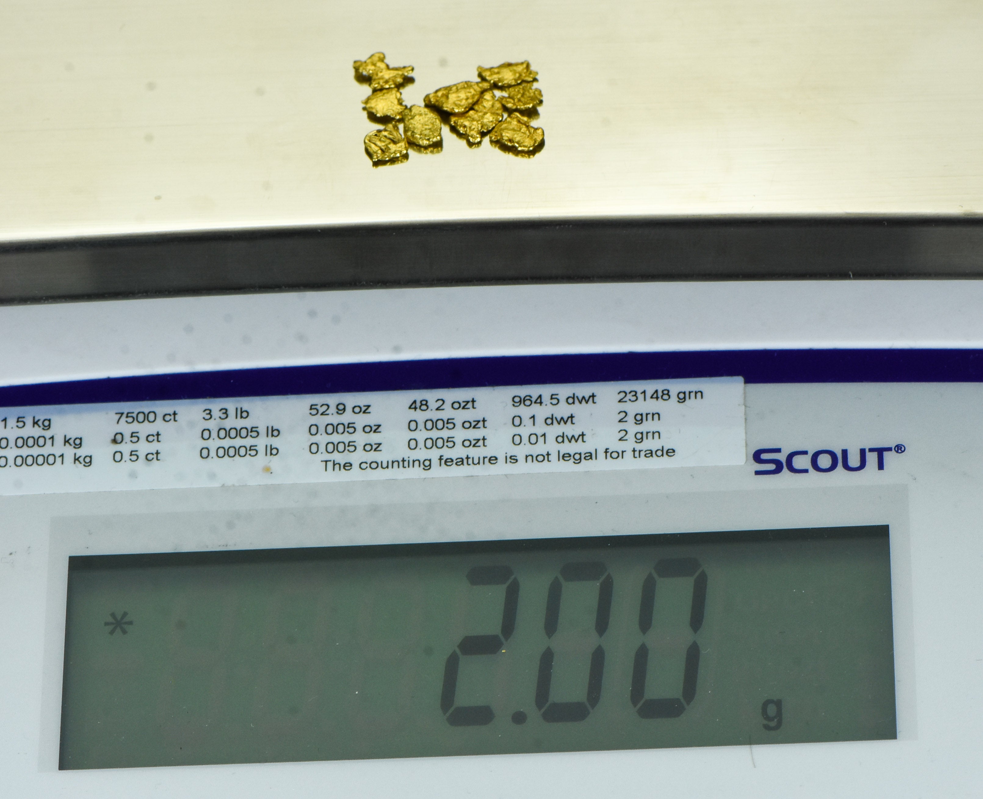 Alaskan Yukon BC Gold Rush Nuggets #6 Mesh 2 Grams of Fines