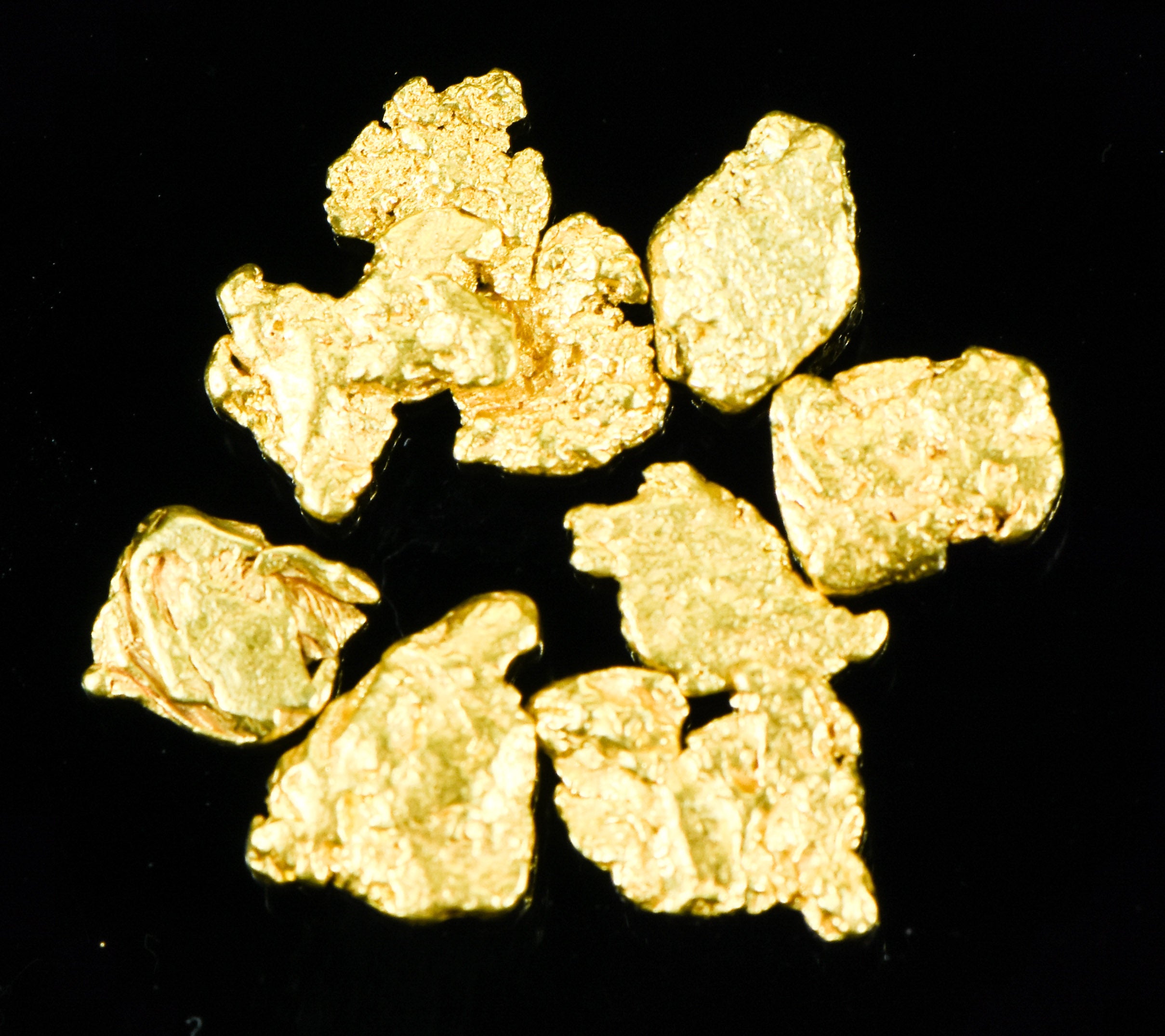 Alaskan Yukon BC Gold Rush Nuggets #6 Mesh 2 Grams of Fines