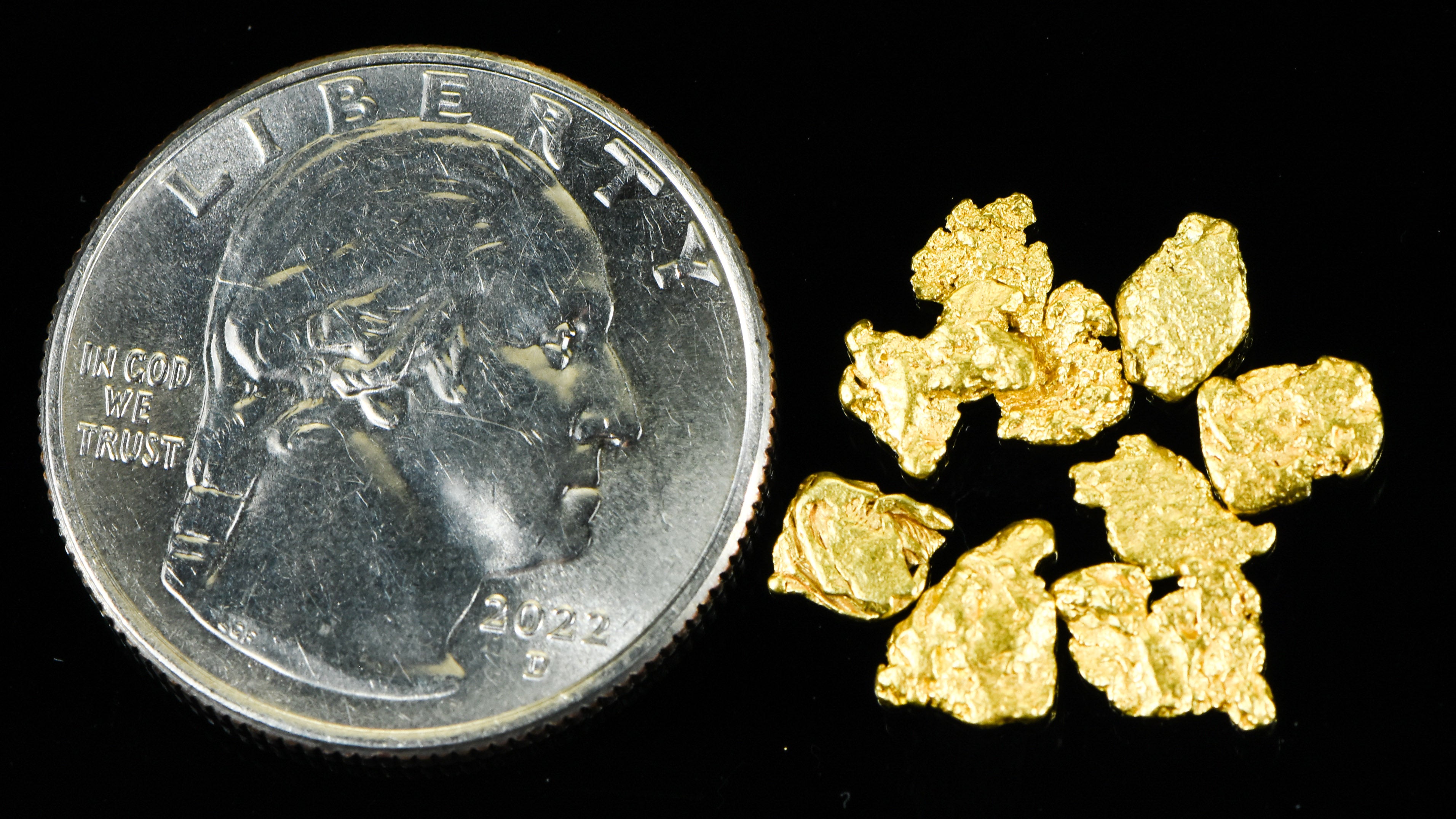 Alaskan Yukon BC Gold Rush Nuggets #6 Mesh 2 Grams of Fines