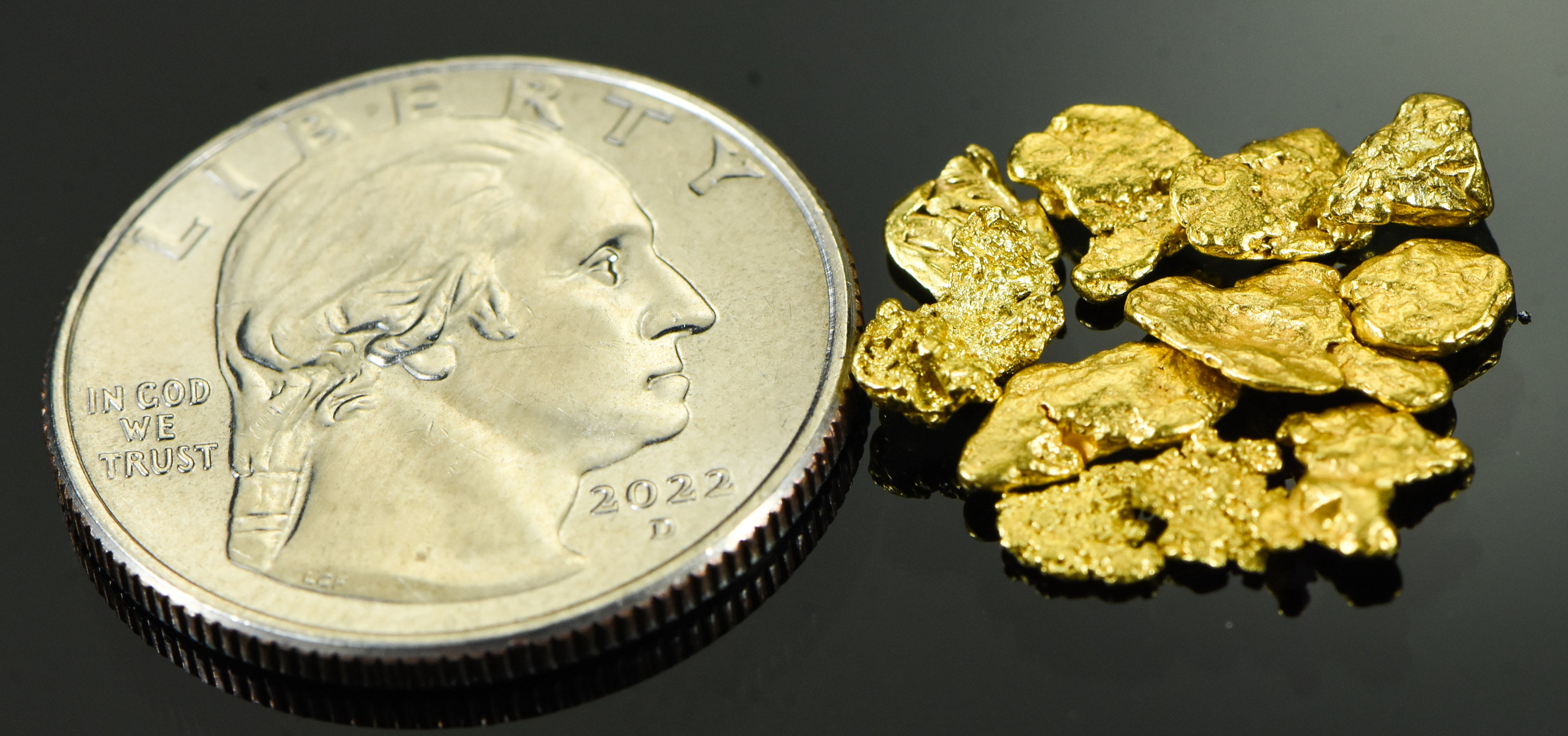 Alaskan Yukon BC Gold Rush Nuggets #6 Mesh 3.1 Grams , 2 DWT 1/10 OZT of Fines