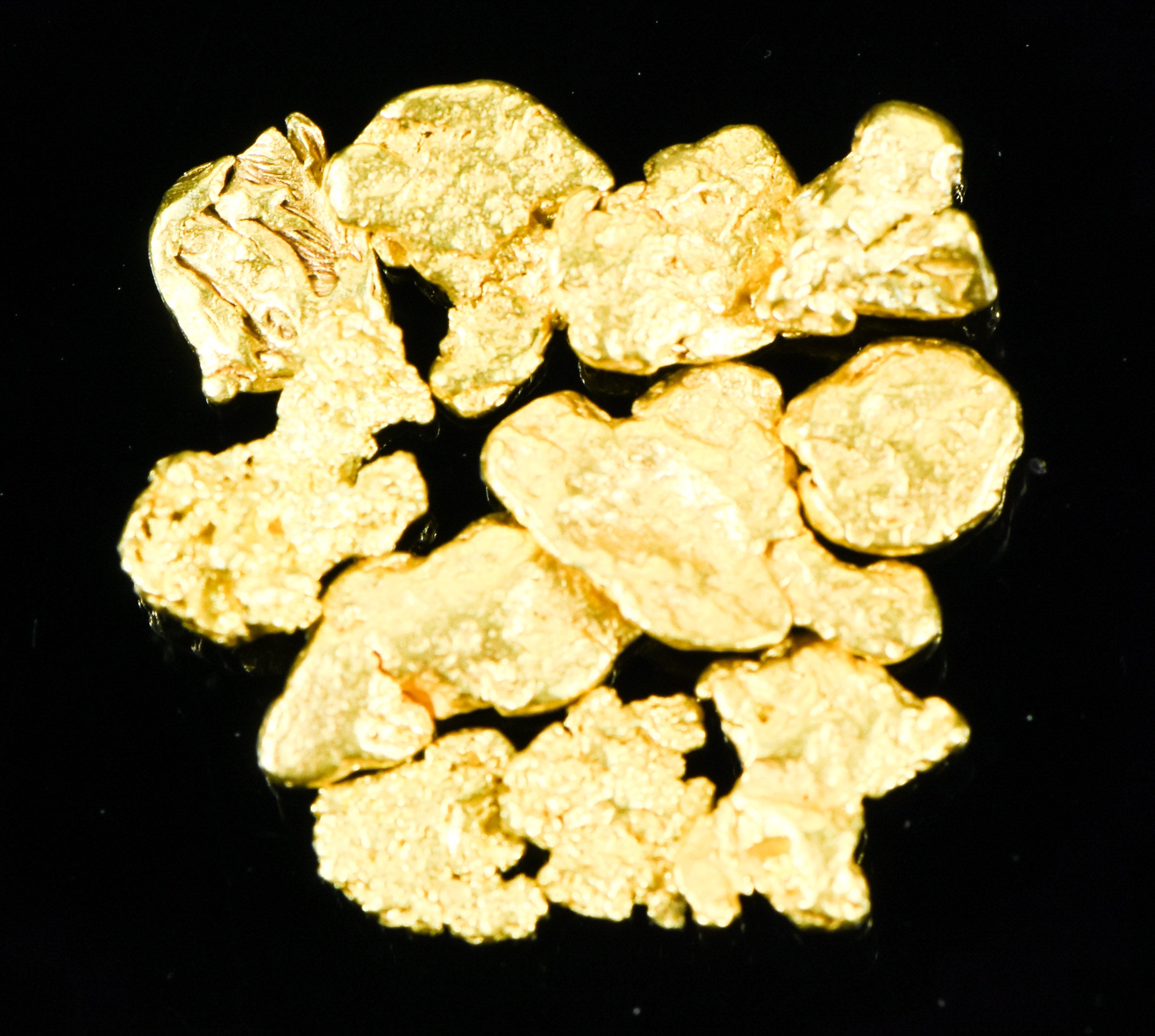 Alaskan Yukon BC Gold Rush Nuggets #6 Mesh 3.1 Grams , 2 DWT 1/10 OZT of Fines