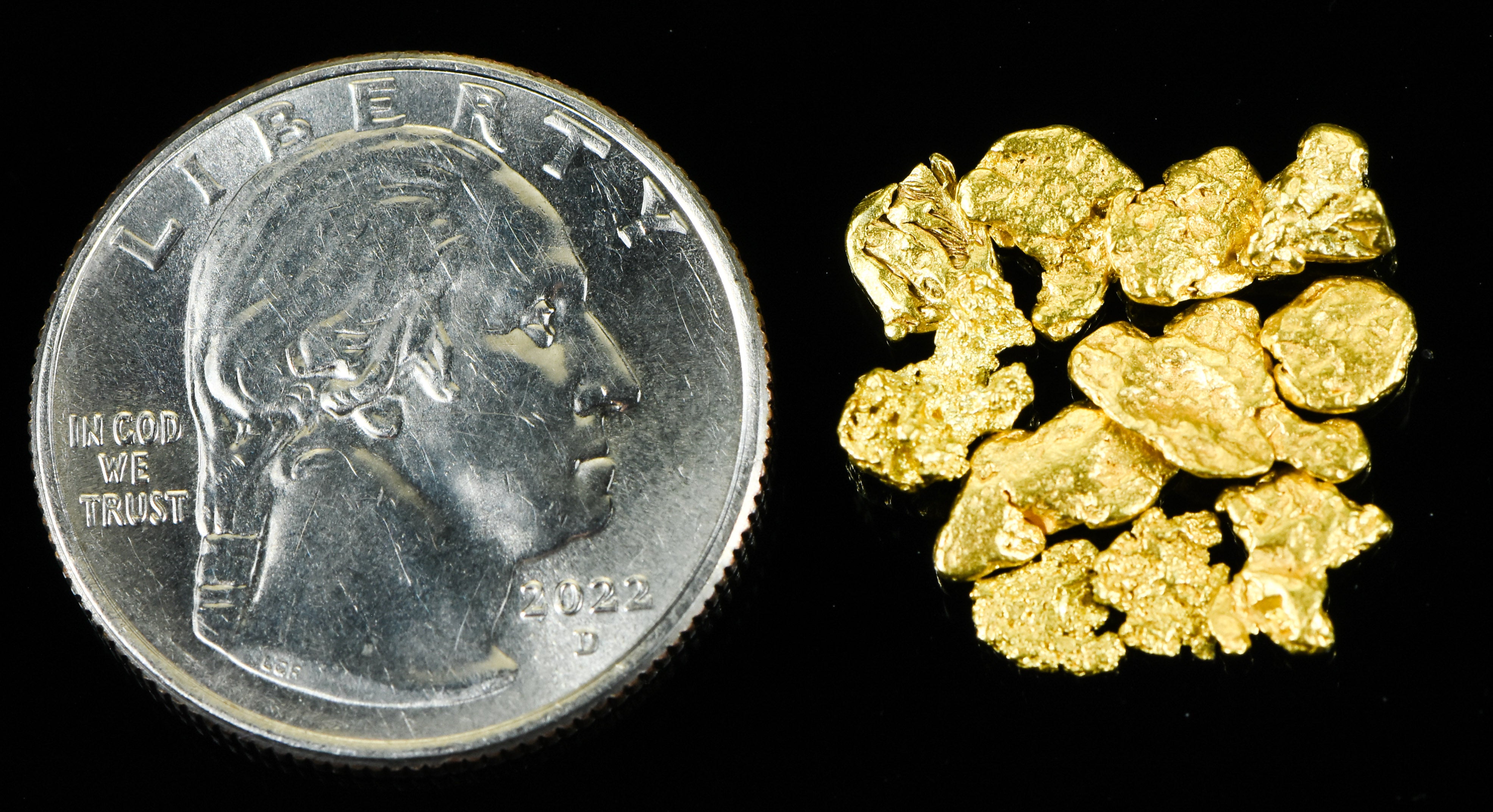 Alaskan Yukon BC Gold Rush Nuggets #6 Mesh 3.1 Grams , 2 DWT 1/10 OZT of Fines