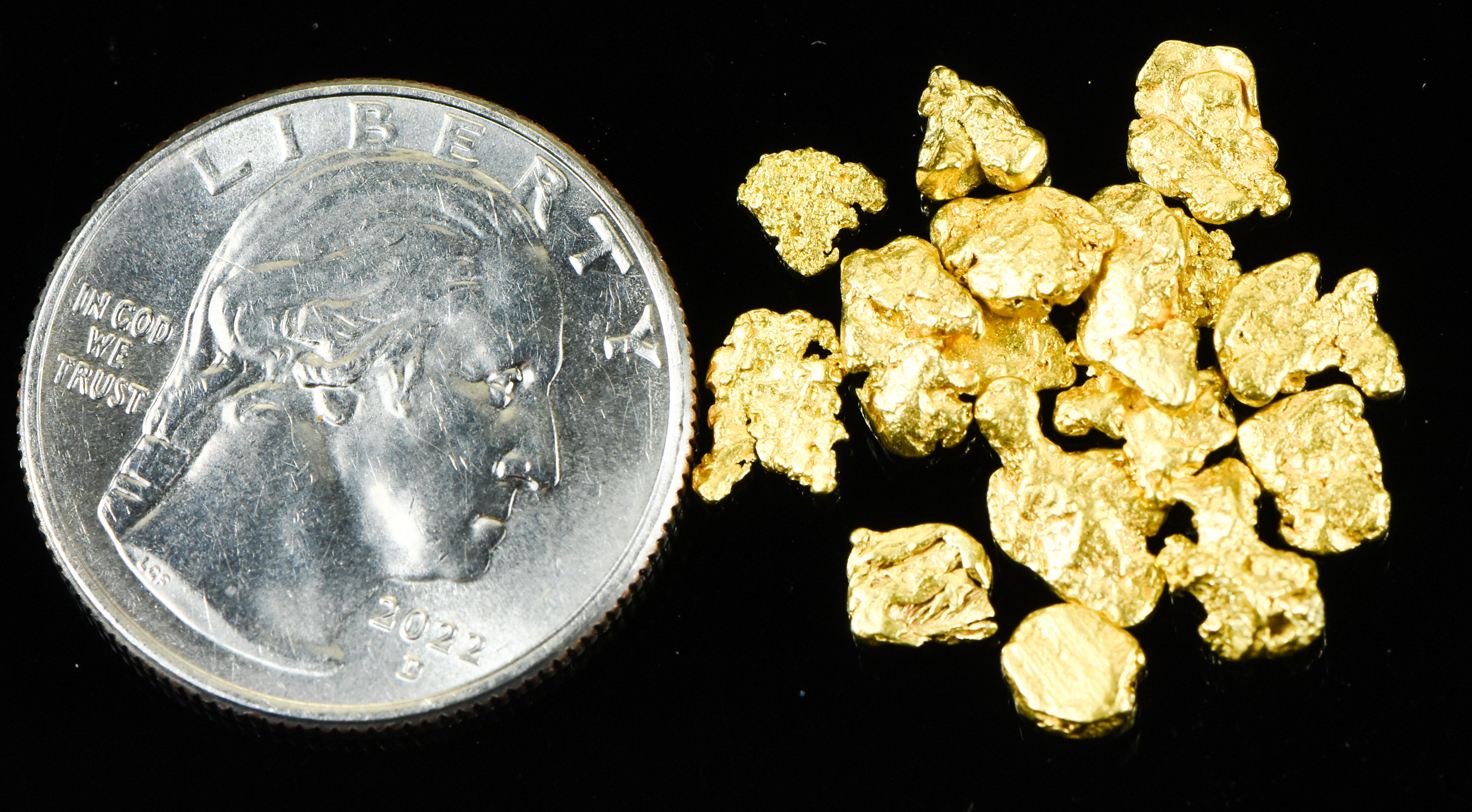 Alaskan Yukon BC Gold Rush Nuggets #6 Mesh .15 Troy Oz 4.65 Grams or 3 DWT