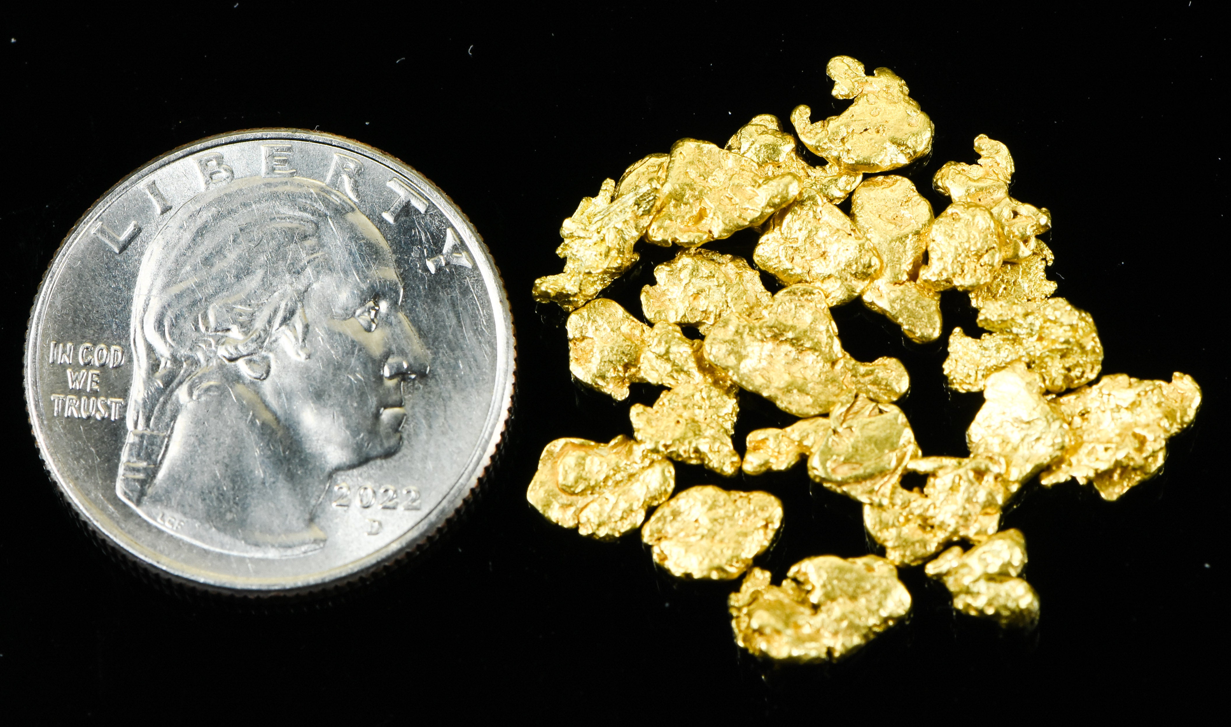 Alaskan Yukon BC Gold Rush Nuggets #6 Mesh 1/4 Troy Oz 7.75 Grams or 5 DWT