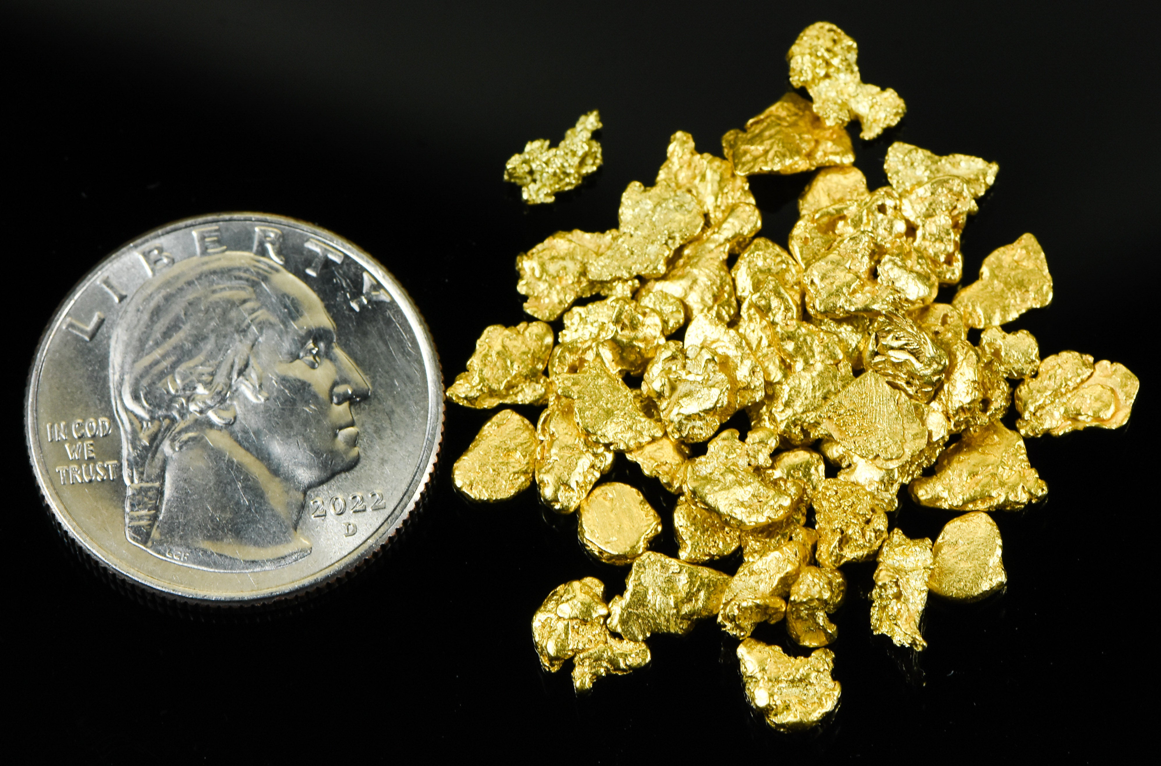 Alaskan Yukon BC Gold Rush Nuggets #6 Mesh 1/2 Troy Oz 15.5 Grams or 10 DWT