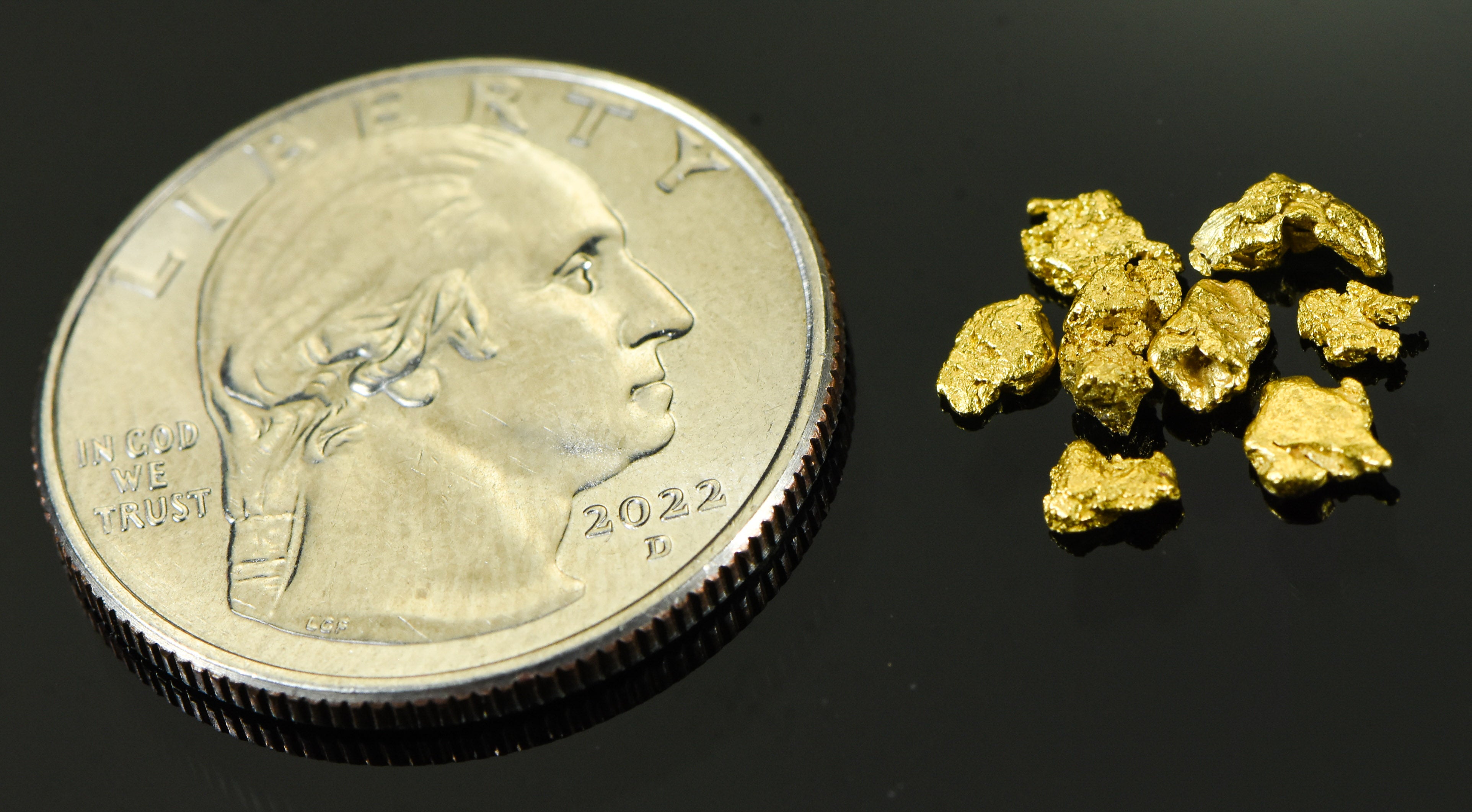 Alaskan Yukon Gold Rush Nuggets #8 Mesh  1 Gram of Fines