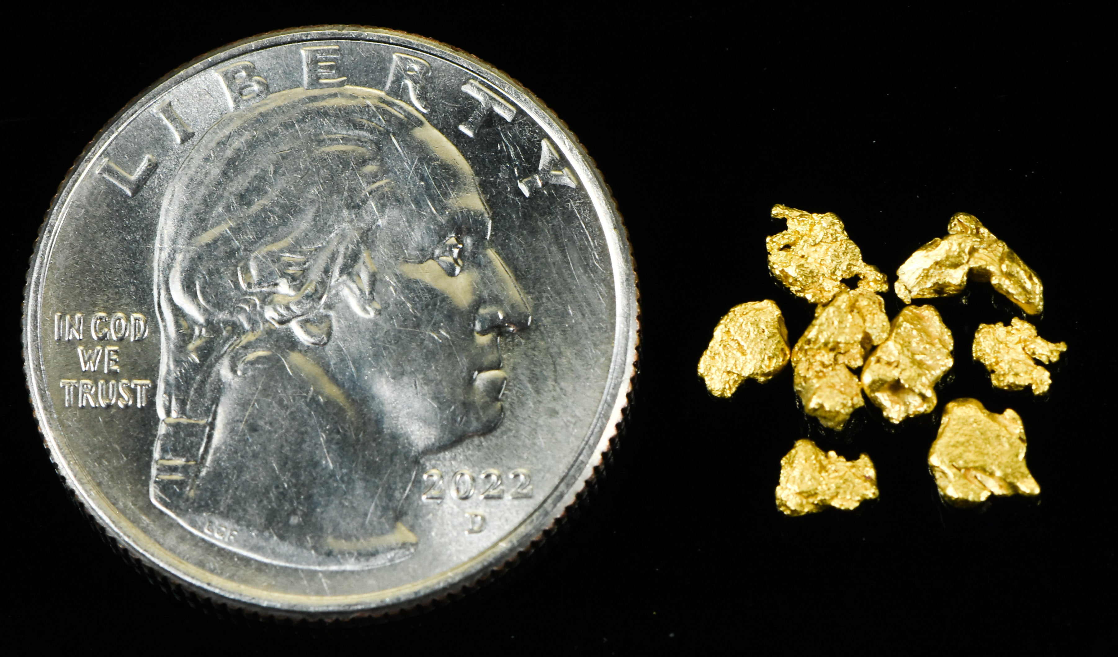Alaskan Yukon Gold Rush Nuggets #8 Mesh  1 Gram of Fines