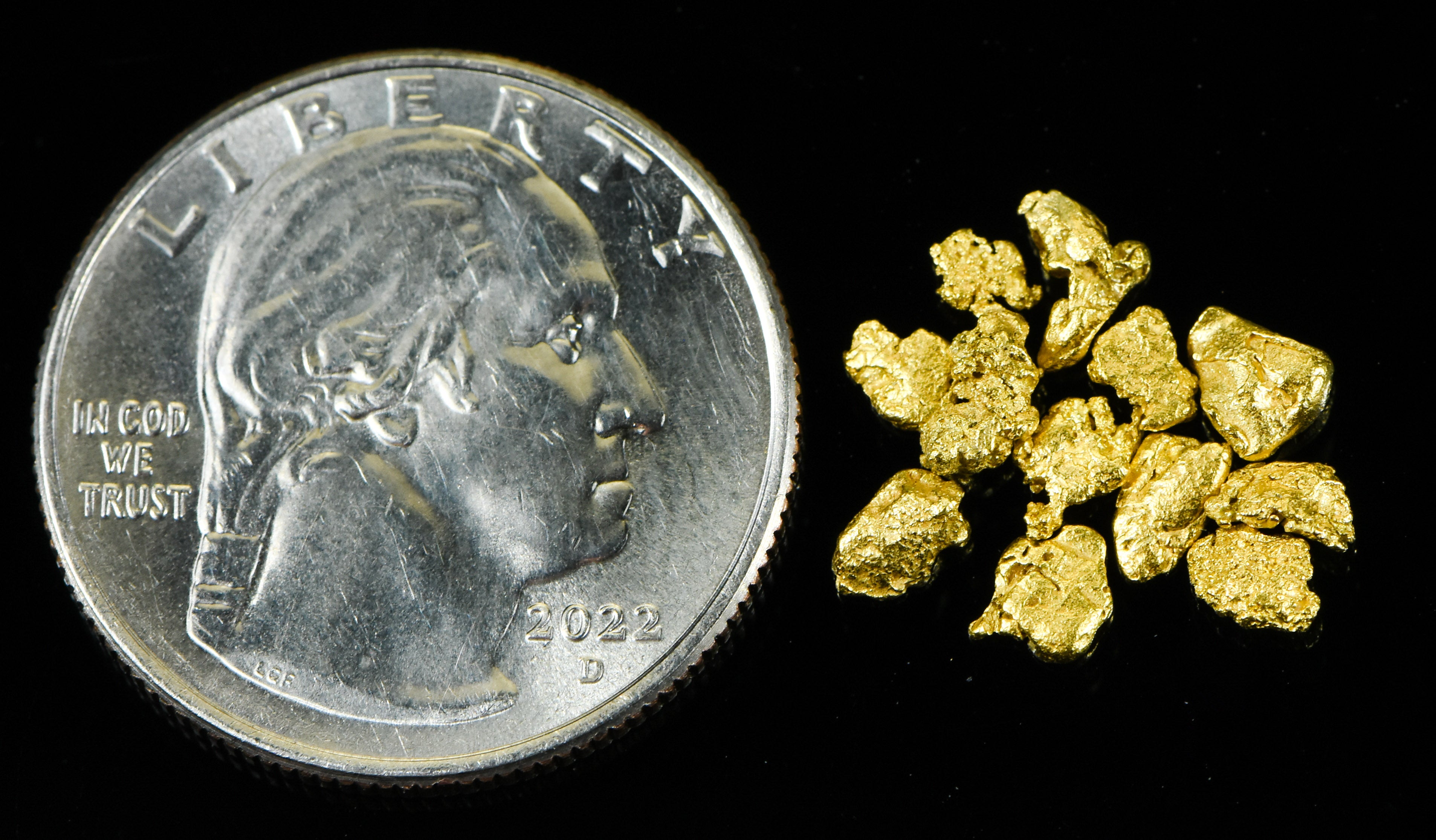 Alaskan Yukon Gold Rush Nuggets #8 Mesh 1.55 Gram of Fines