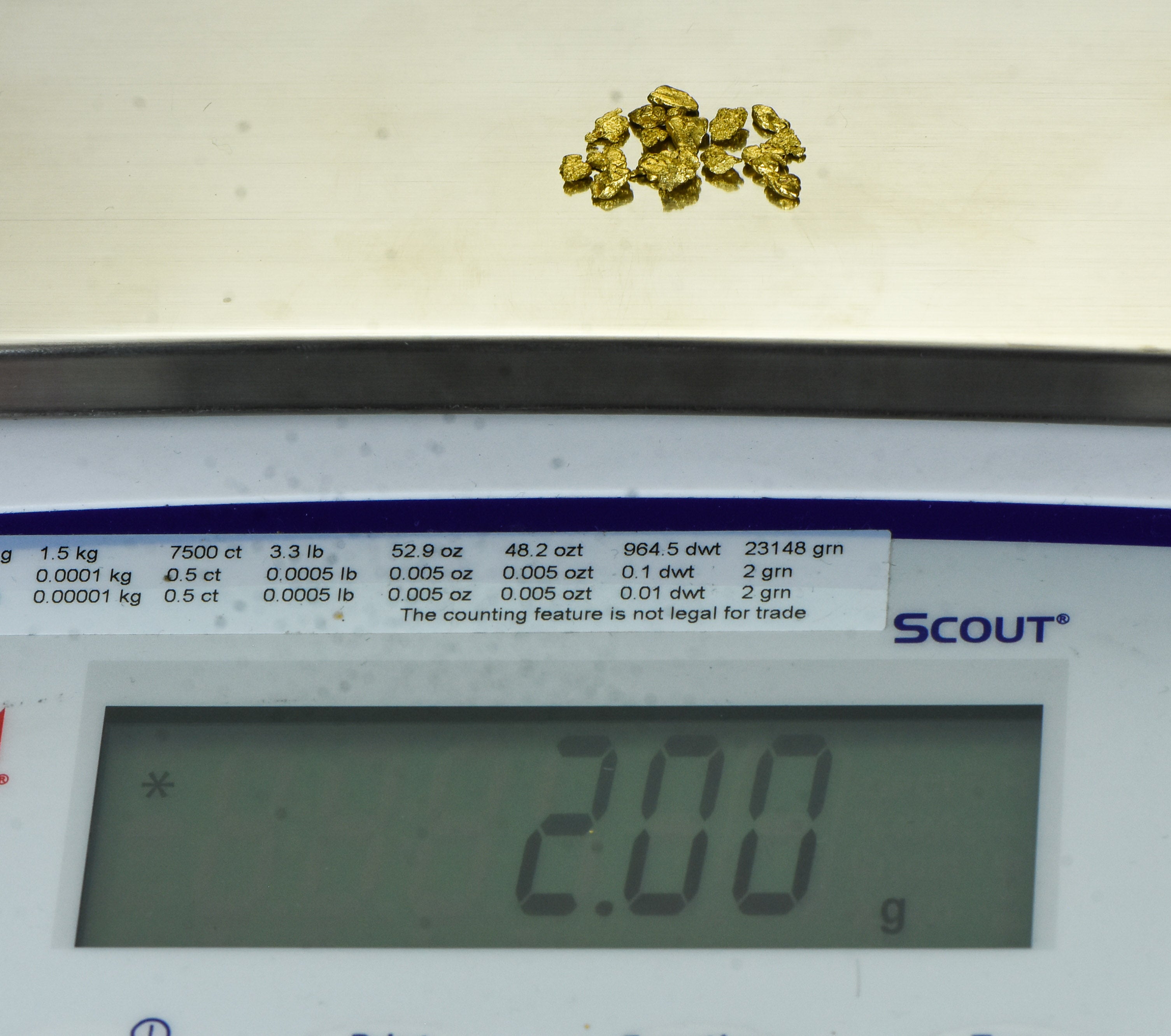 Alaskan Yukon Gold Rush Nuggets #8 Mesh 2 Grams of Fines