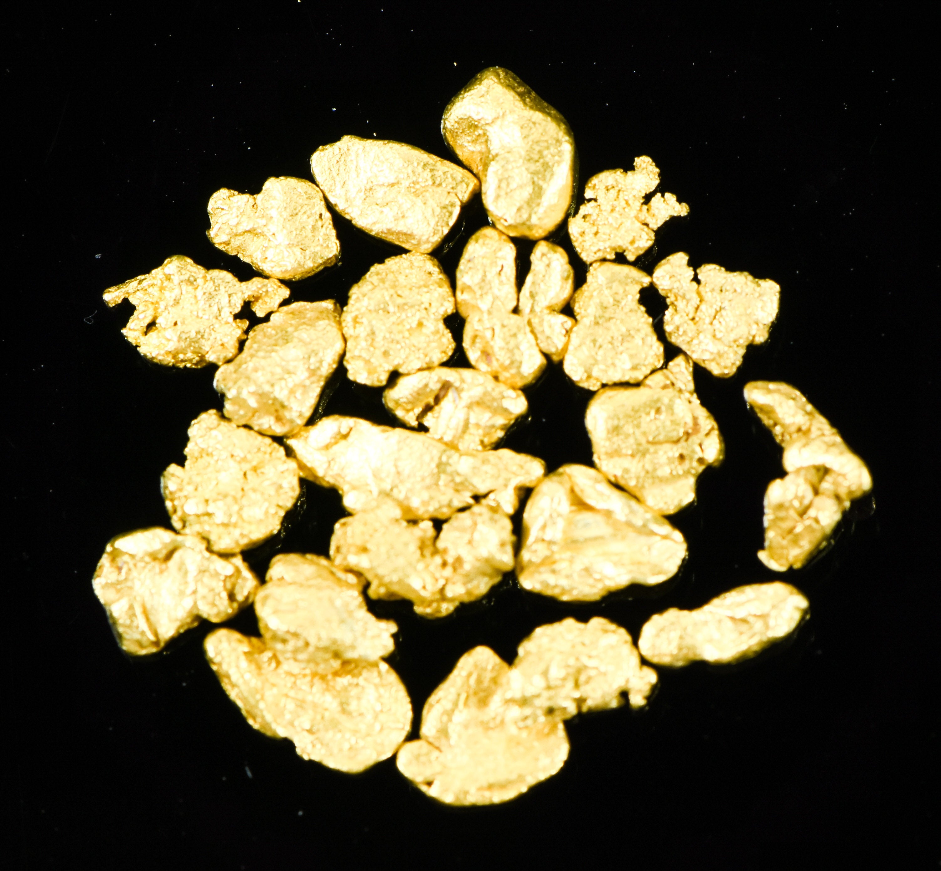 Alaskan Yukon Gold Rush Nuggets #8 Mesh 1/10 Troy Oz 3.1 Grams or 2 DWT