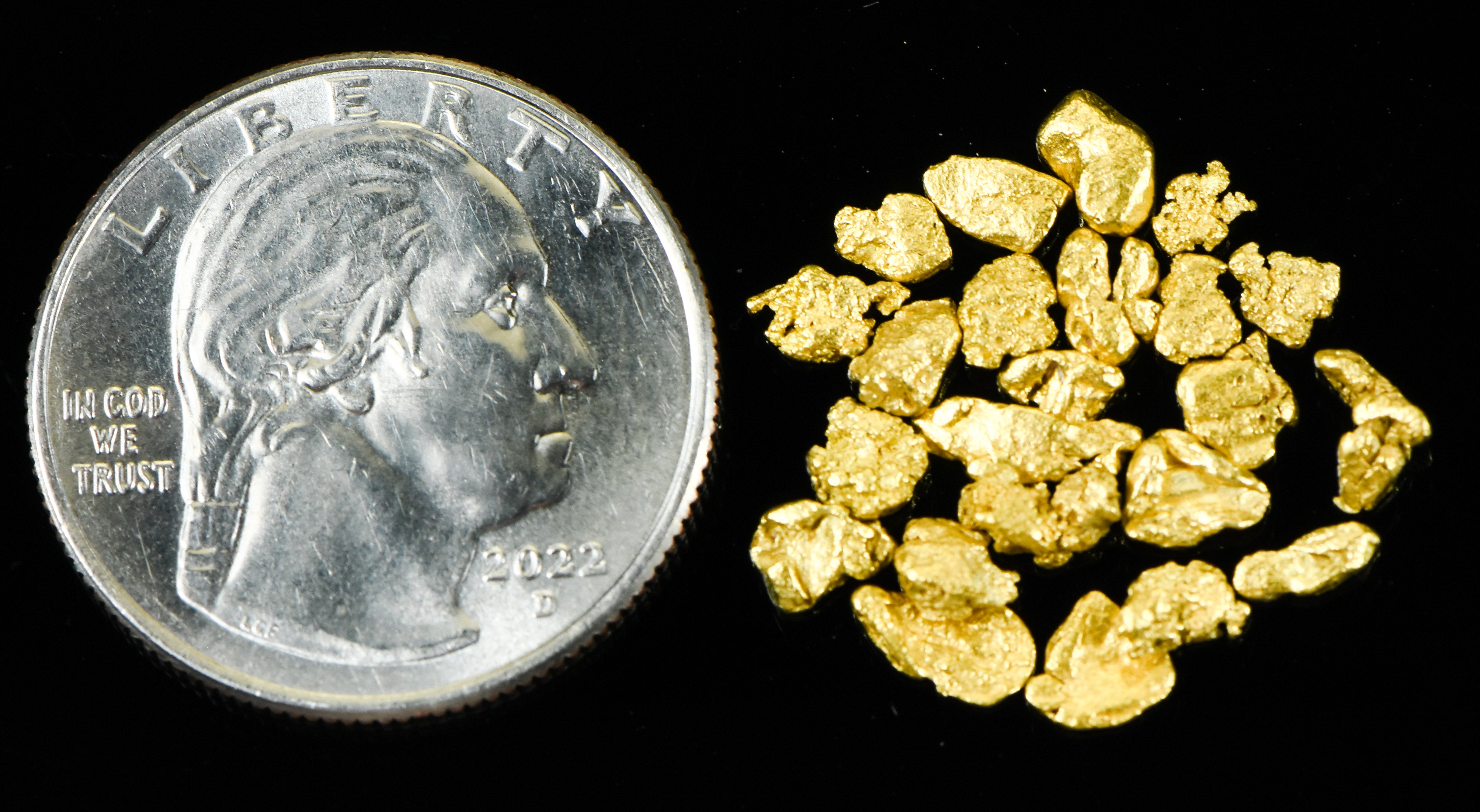 Alaskan Yukon Gold Rush Nuggets #8 Mesh 1/10 Troy Oz 3.1 Grams or 2 DWT