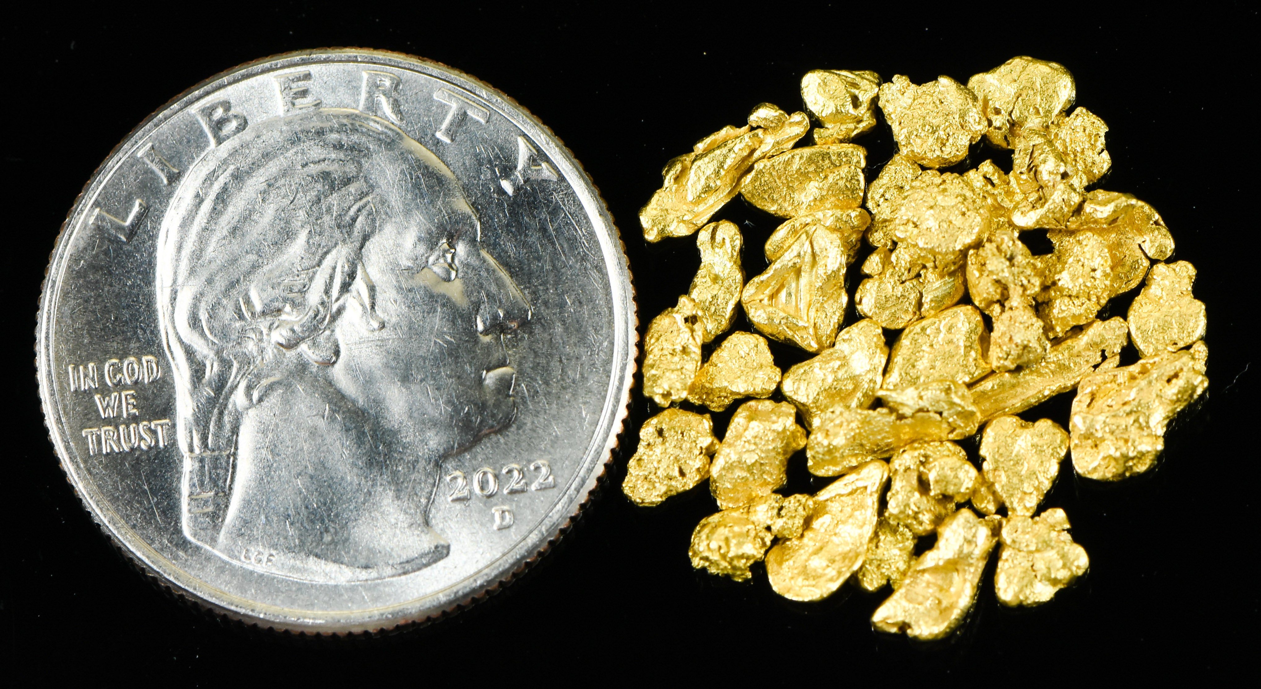 Alaskan Yukon Gold Rush Nuggets #8 Mesh .15 Troy Oz 4.65 Grams or 3 DWT