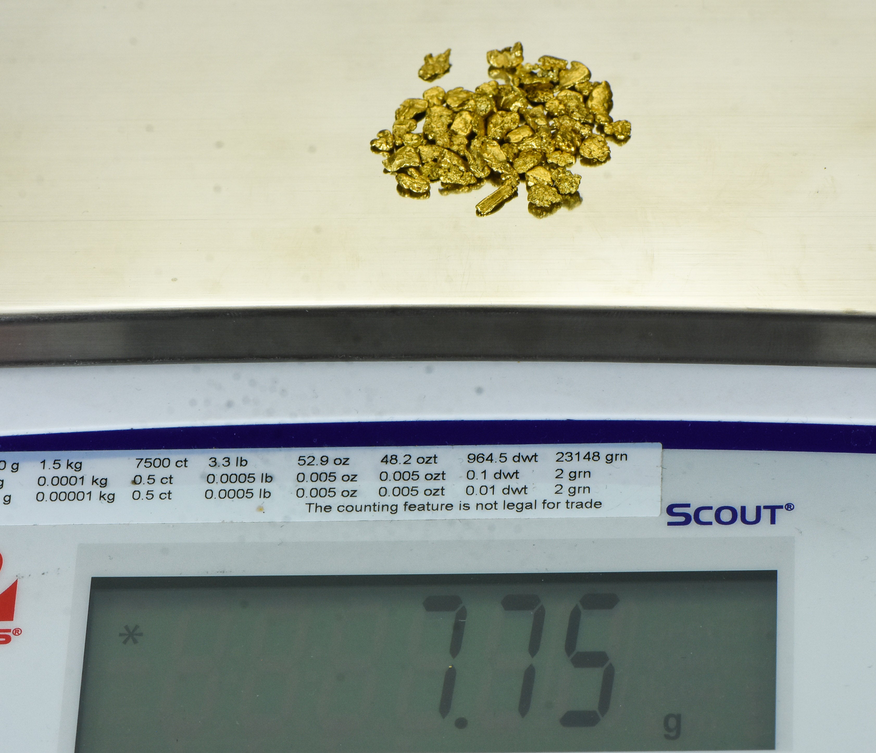 Alaskan Yukon Gold Rush Nuggets #8 Mesh 1/4 Troy Oz 7.75 Grams or 5 DWT