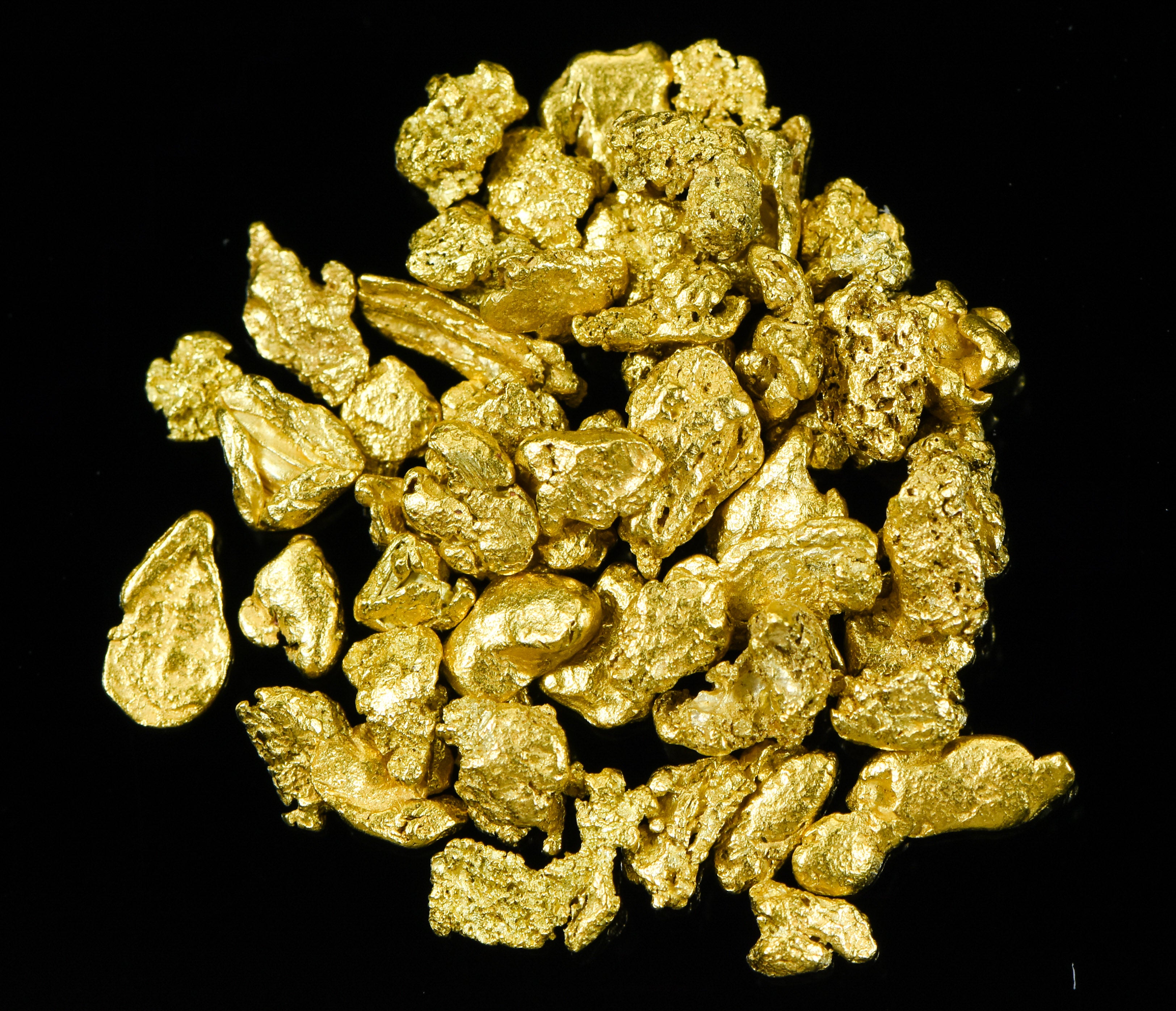 Alaskan Yukon Gold Rush Nuggets #8 Mesh 1/4 Troy Oz 7.75 Grams or 5 DWT