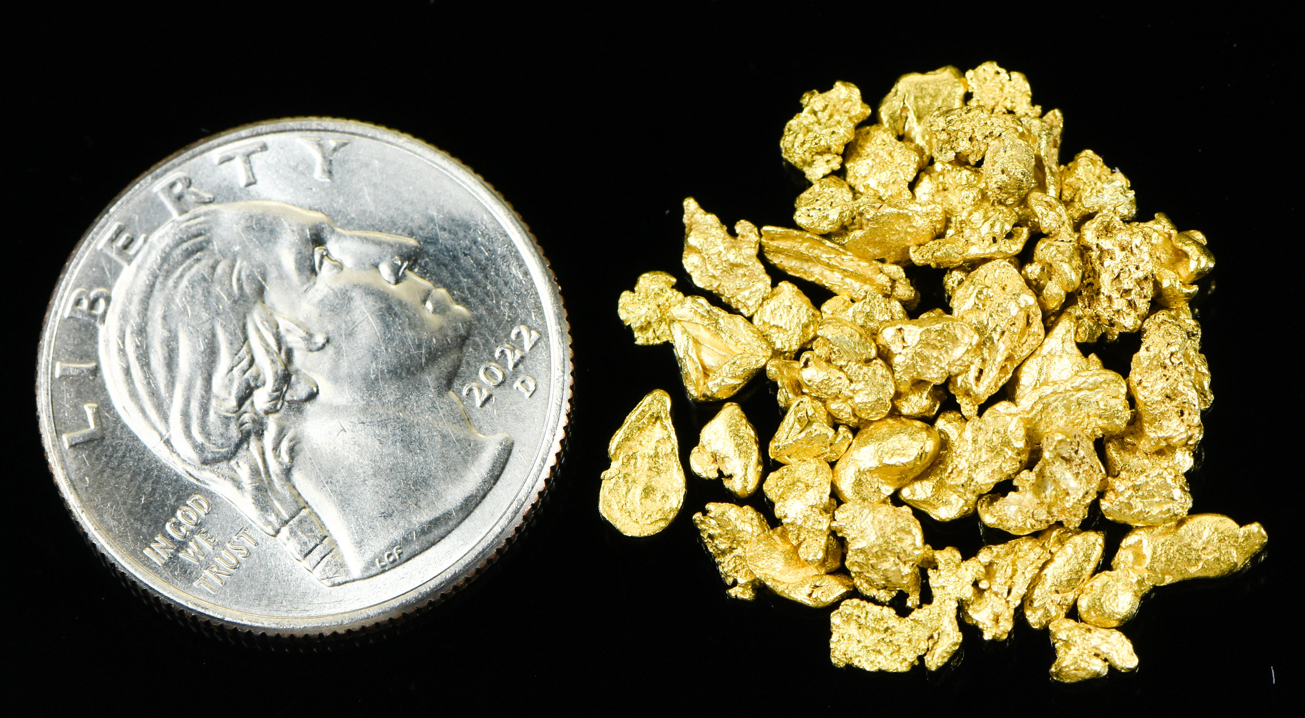 Alaskan Yukon Gold Rush Nuggets #8 Mesh 1/4 Troy Oz 7.75 Grams or 5 DWT