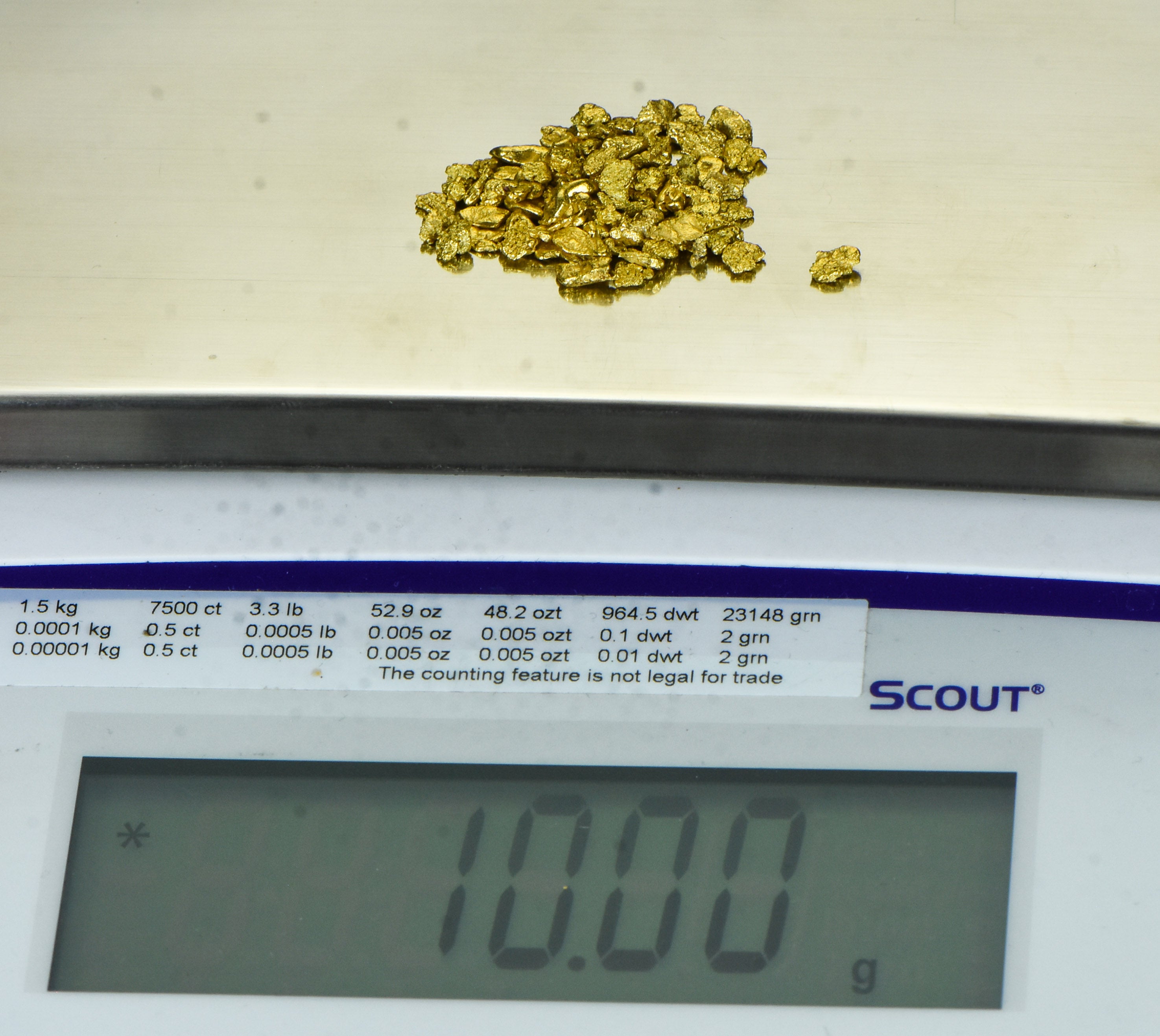 Alaskan Yukon Gold Rush Nuggets #8 Mesh 10 GRAMS OF CLEAN GOLD FLAKES