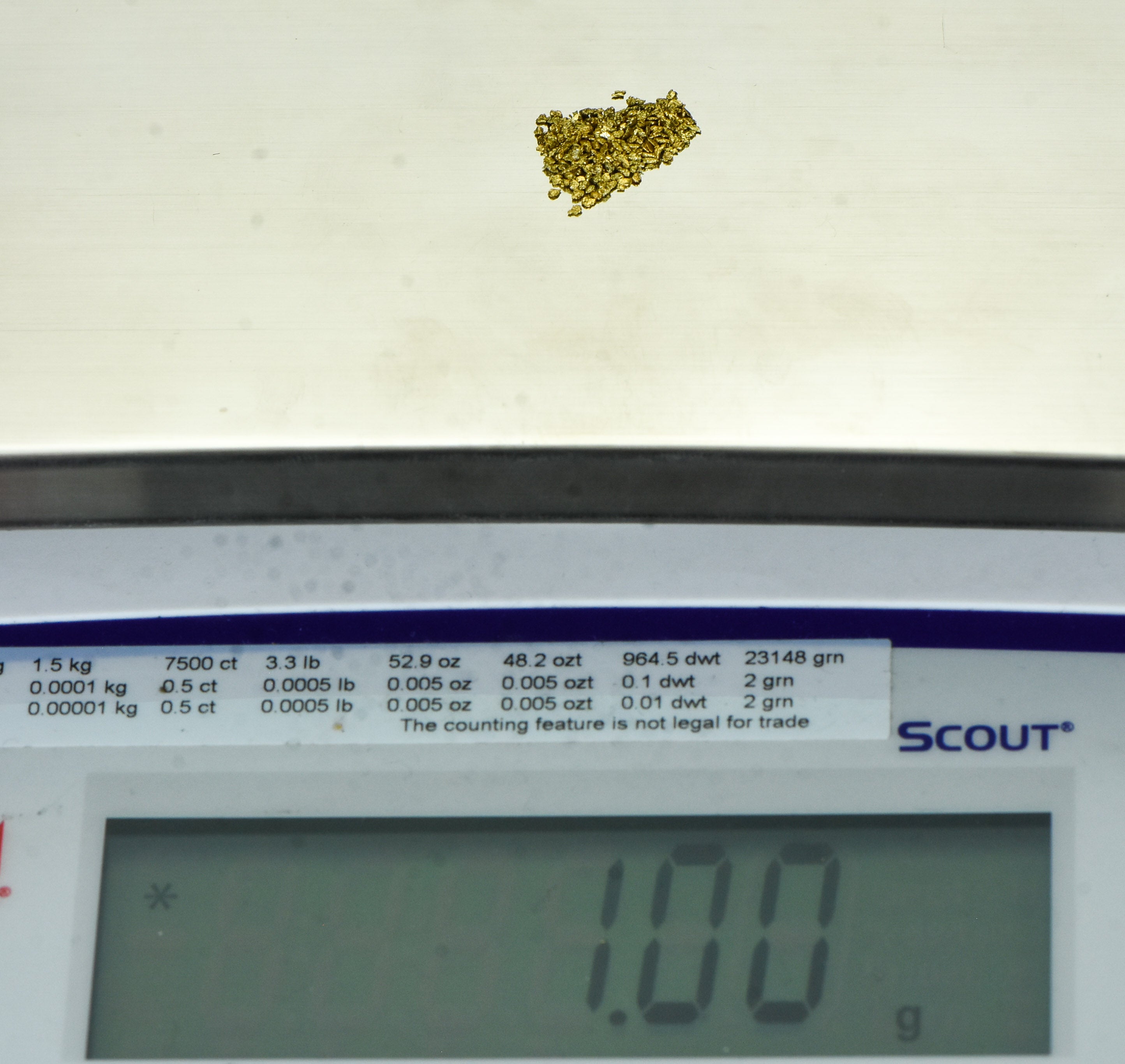 Alaskan Yukon Gold Rush Nuggets #25 Mesh 1 GRAM-of fines