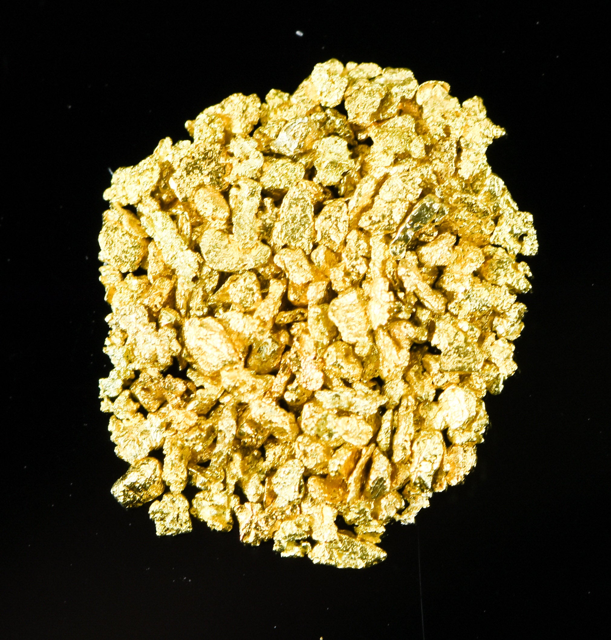 Alaskan Yukon Gold Rush Nuggets #25 Mesh 1 GRAM-of fines
