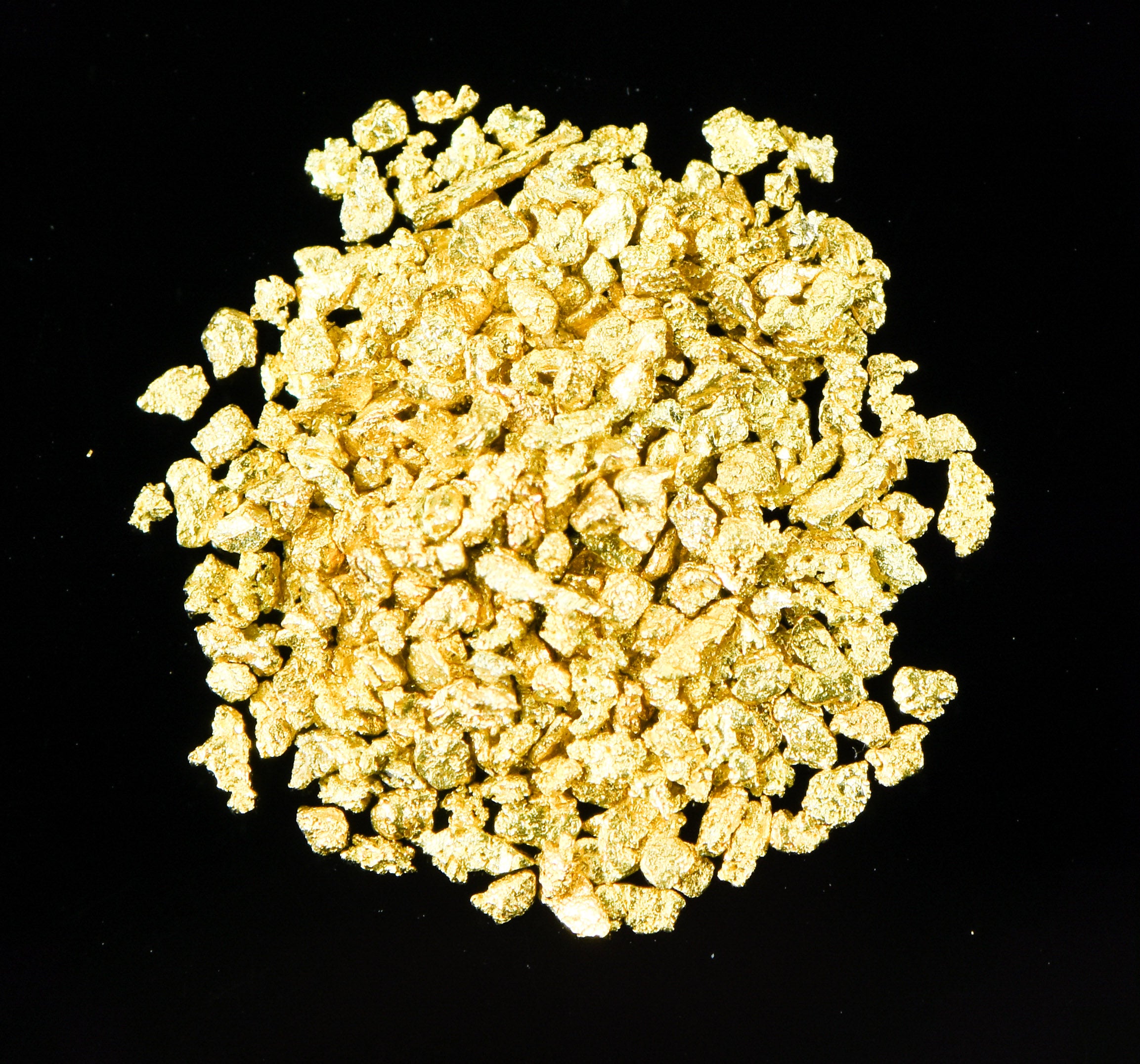 Alaskan Yukon Gold Rush Nuggets #25 Mesh .05 Troy Oz. 1.55 Grams or 1 DWT