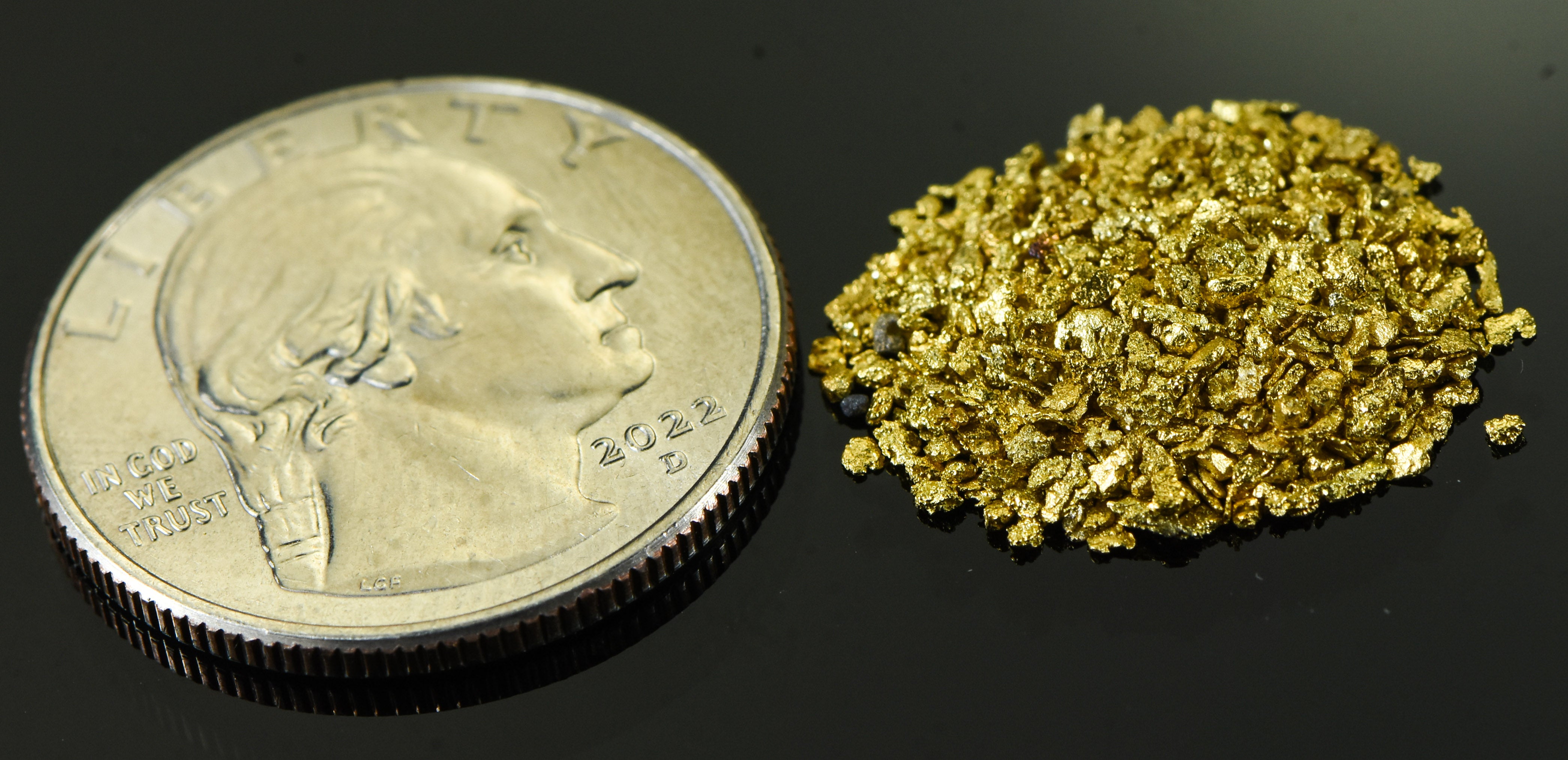 Alaskan Yukon Gold Rush Nuggets #25 Mesh 1/10 Troy Oz 3.1 Grams or 2 DWT