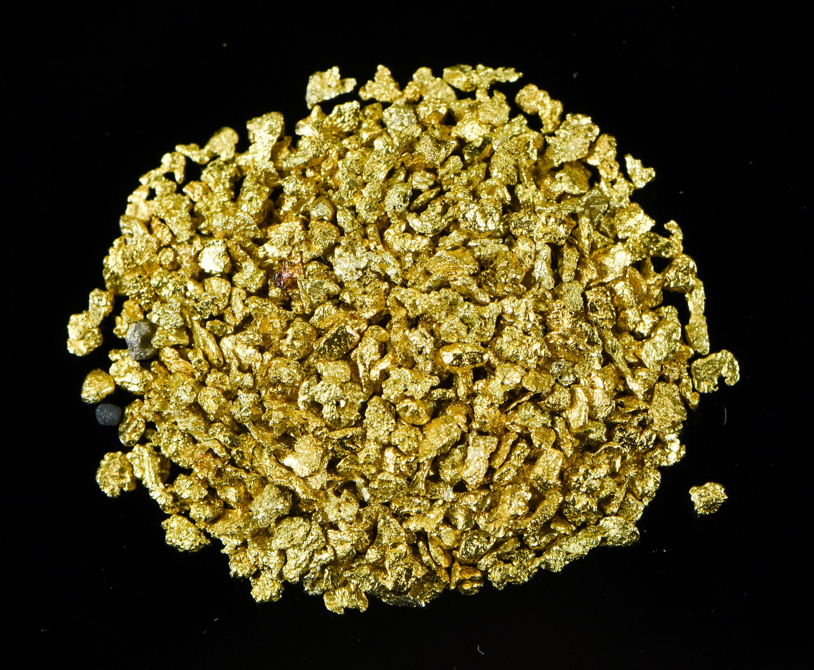 Alaskan Yukon Gold Rush Nuggets #25 Mesh 1/10 Troy Oz 3.1 Grams or 2 DWT