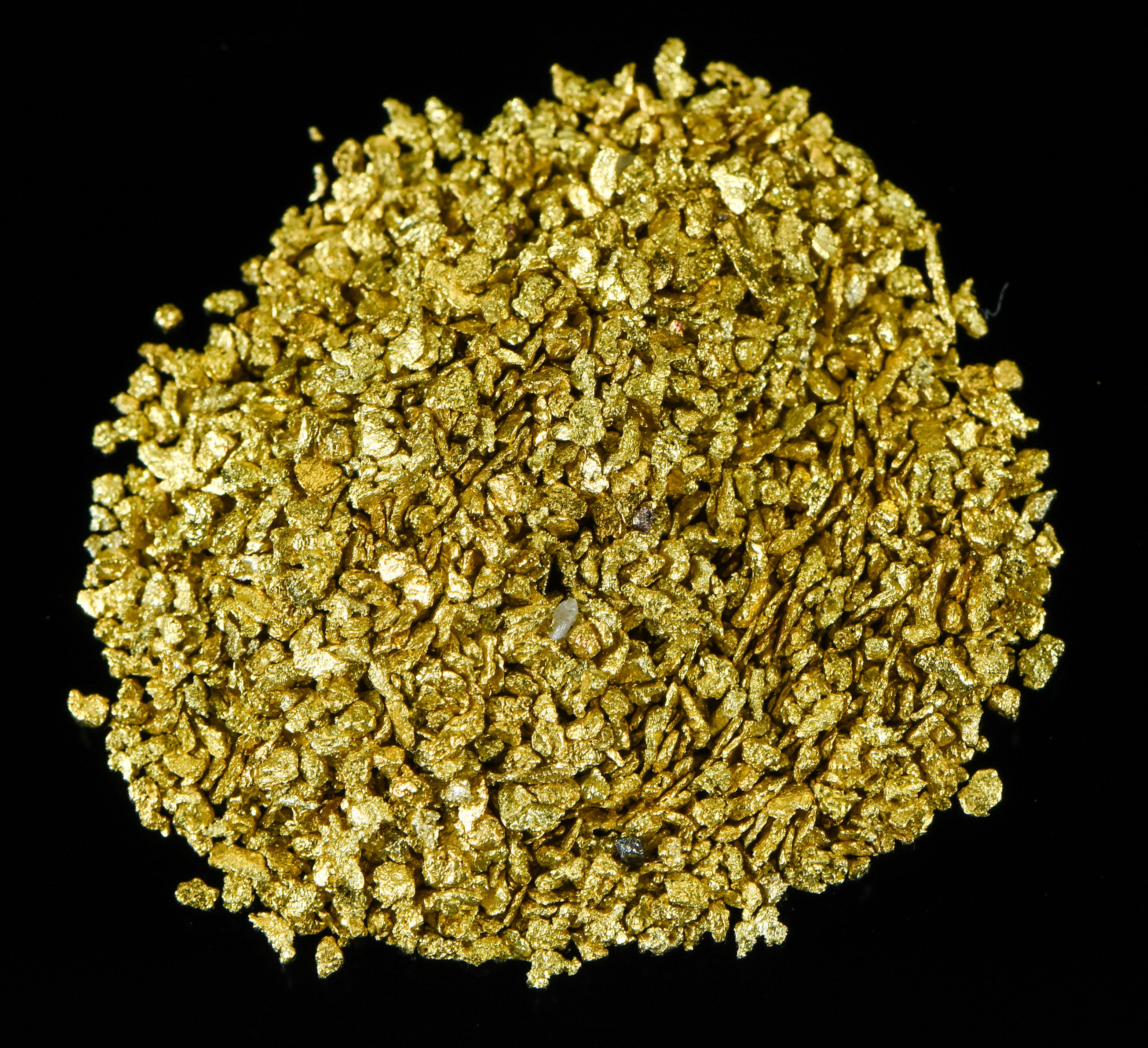 Alaskan Yukon Gold Rush Nuggets #25 Mesh 10 GRAMS OF CLEAN GOLD FLAKES