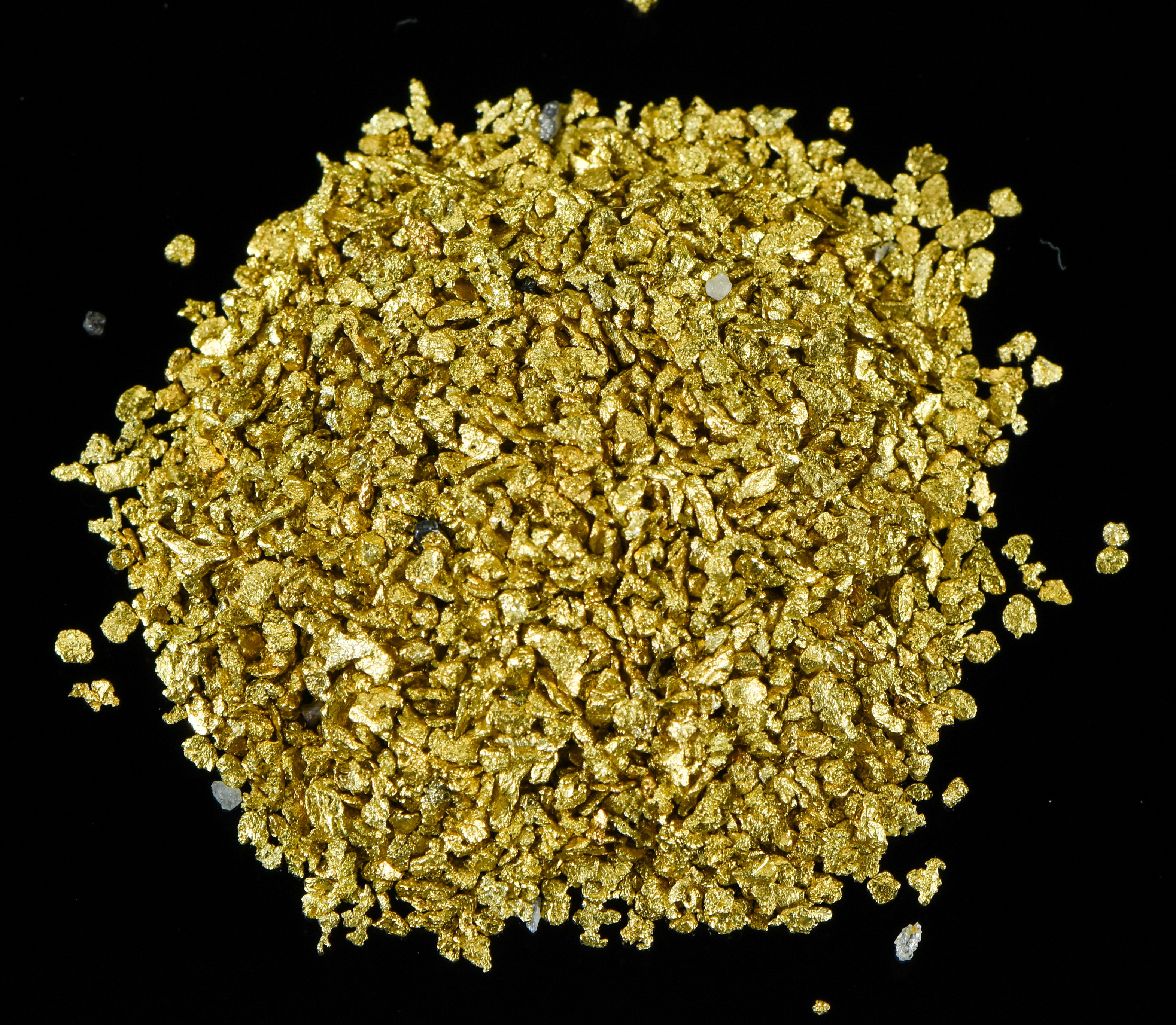 Alaskan Yukon Gold Rush Nuggets #25 Mesh 1/2 Troy Oz 15.5 Grams or 10 DWT