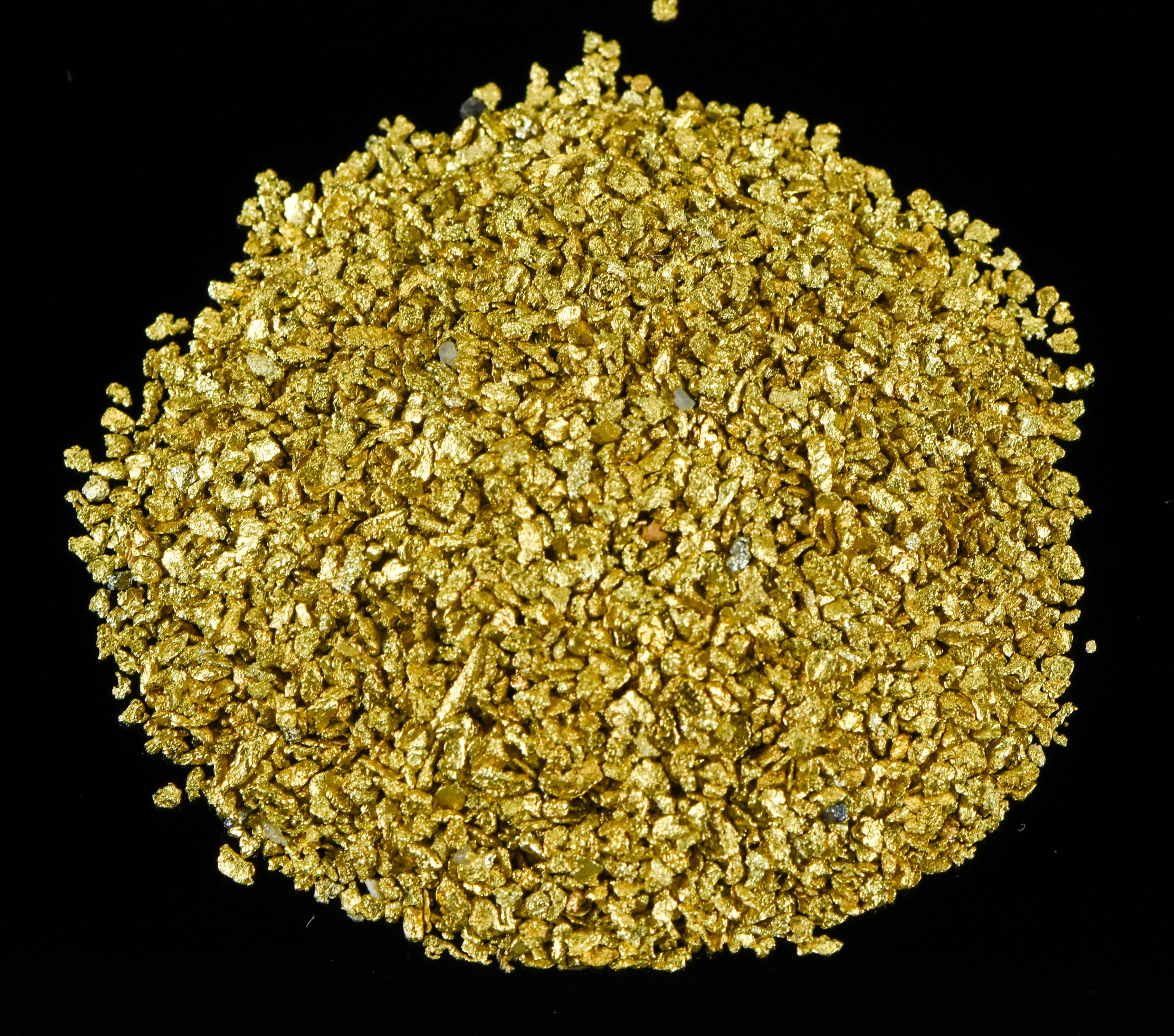 Alaskan Yukon Gold Rush Nuggets #25 Mesh 1 Troy Oz 31.1 Gram 20 DWT Authentic