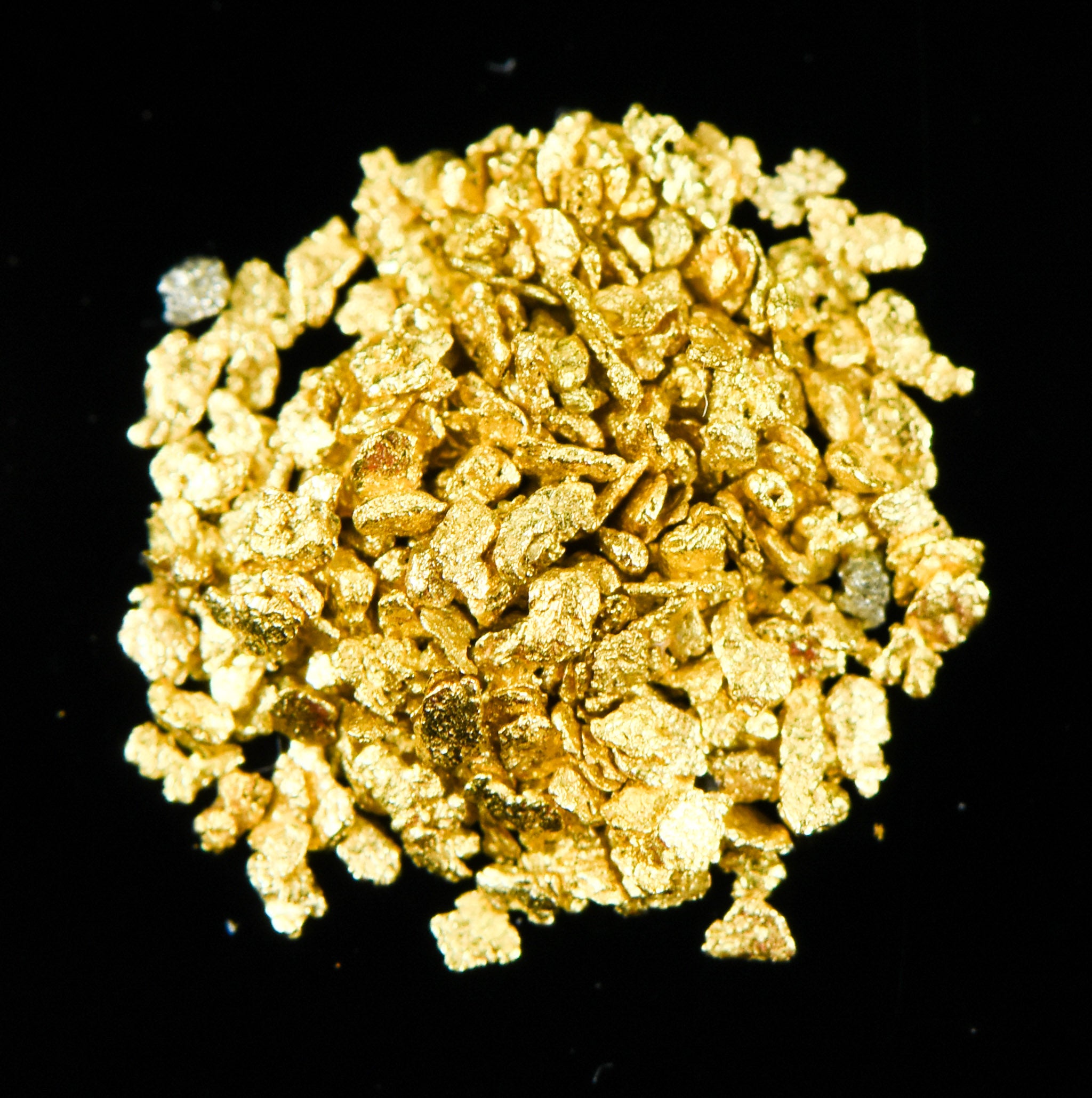 Alaskan Yukon Gold Rush Nuggets #30 Mesh .5 GRAM 1/2 GRAM SUPER SMALL FINE