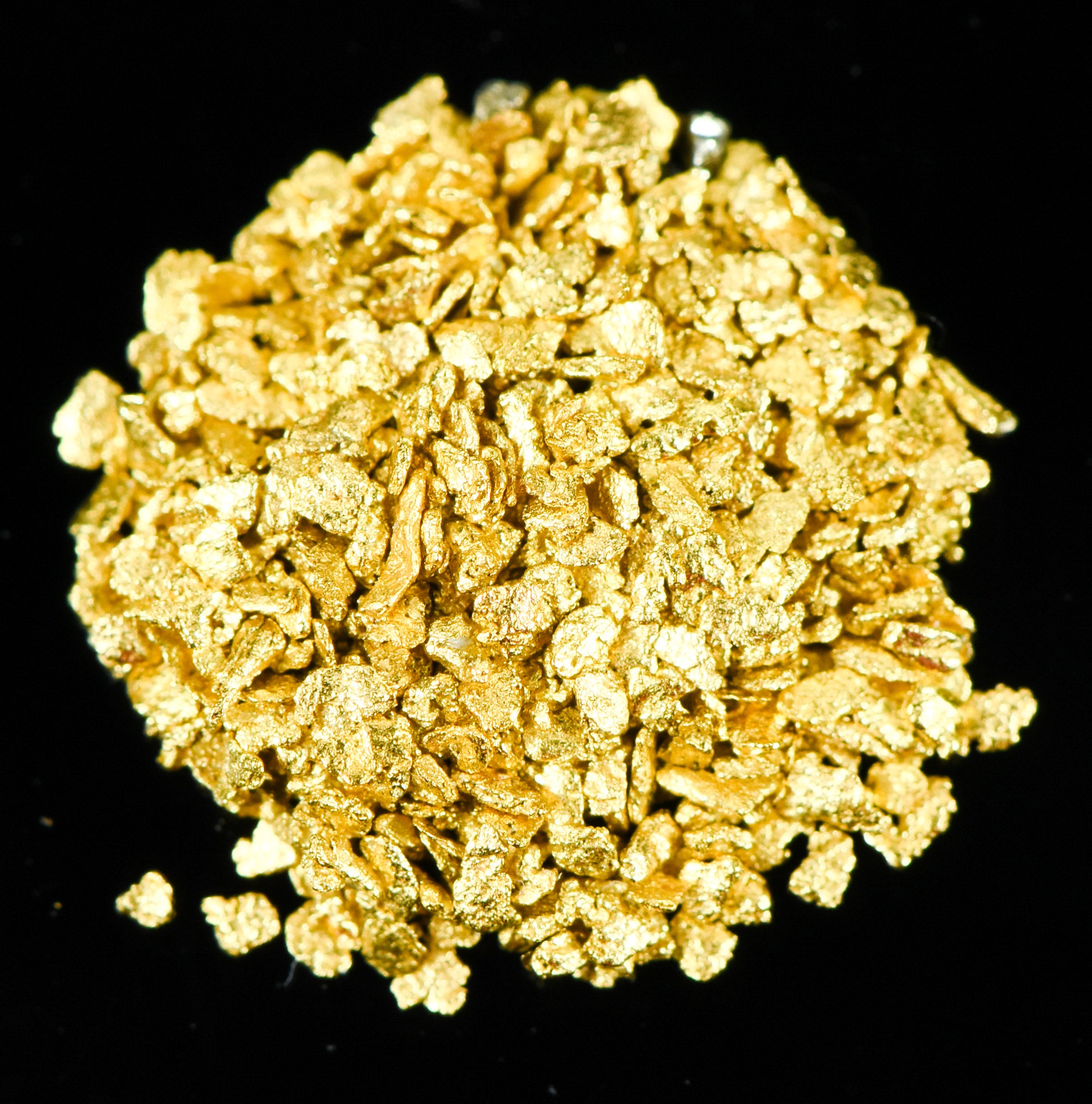 Alaskan Yukon Gold Rush Nuggets #30 Mesh 1 grams of Super Small Fines