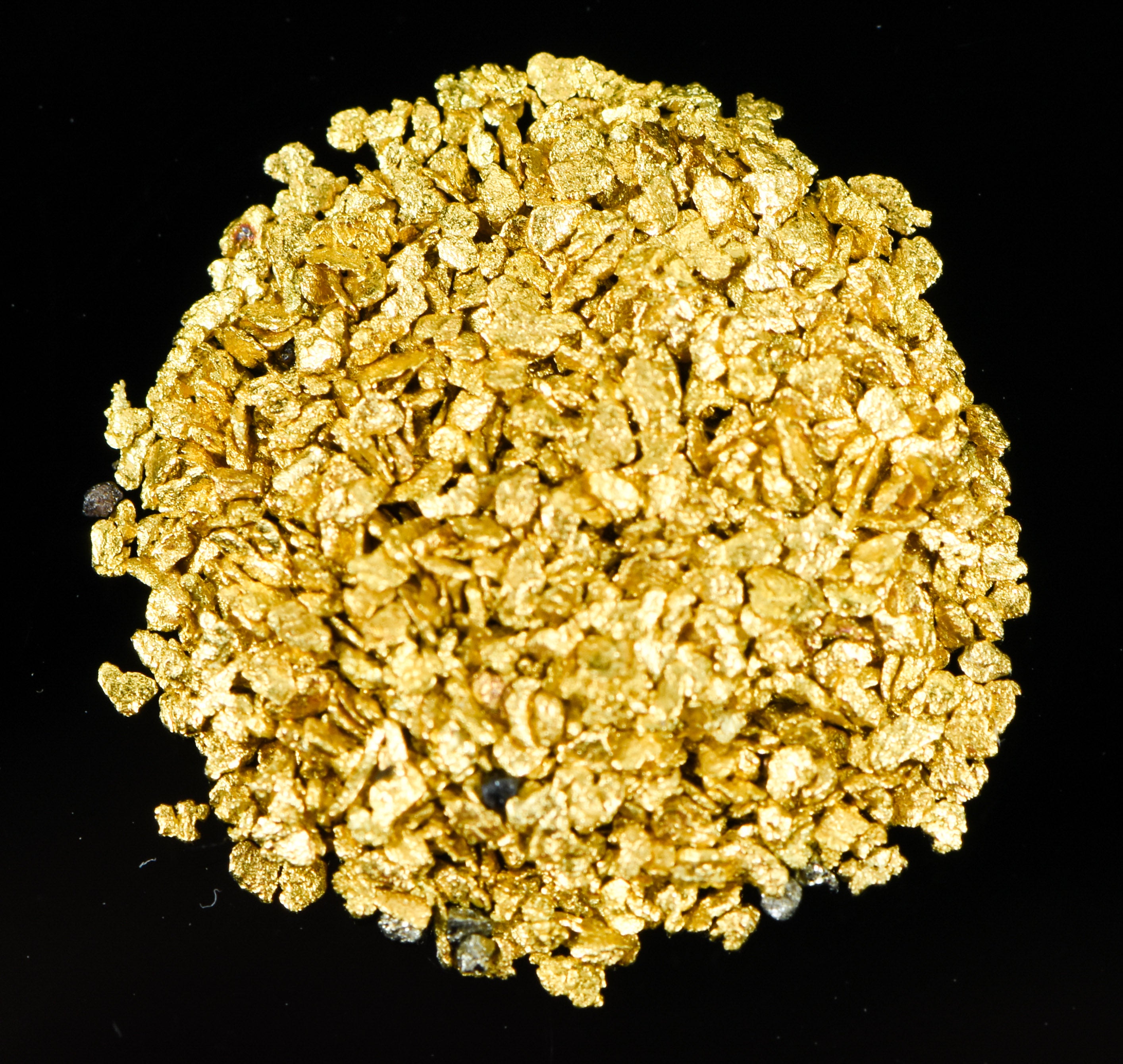 Alaskan Yukon Gold Rush Nuggets #30 Mesh 2 Grams of Super Small Fines
