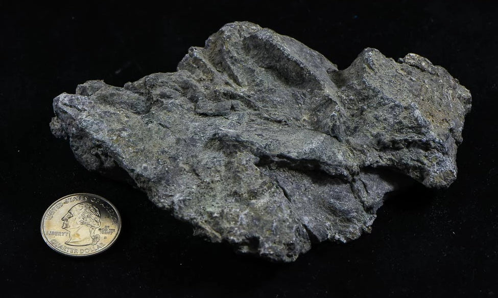 Nevada Silver Quartz Ore 440.00 Grams, 14.14 Troy Ounces Genuine $1.00 PPG