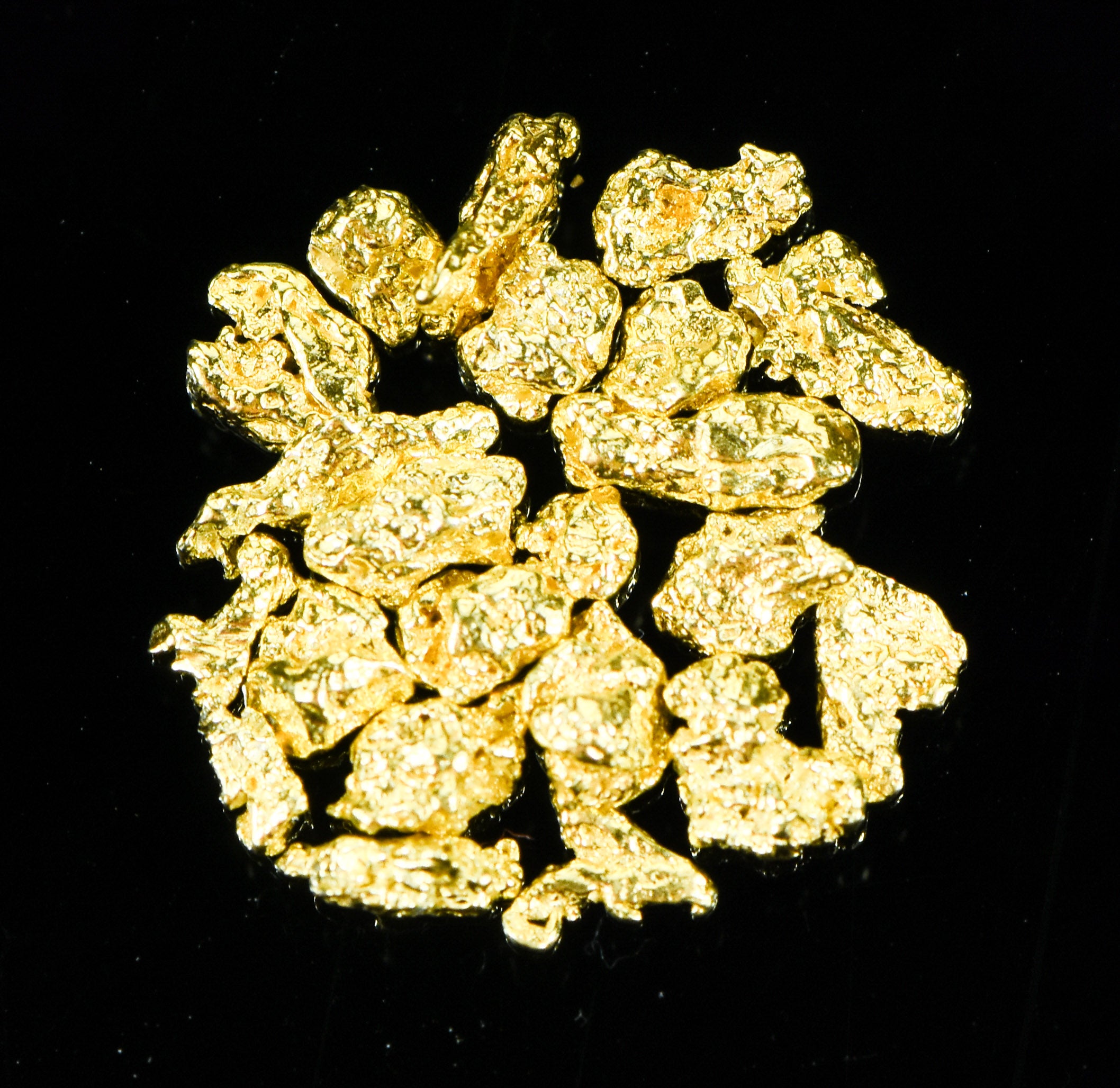 Alaskan Yukon Gold Rush Nuggets 10 Mesh .05 Troy Oz. 1.55 Gram,1 DWT
