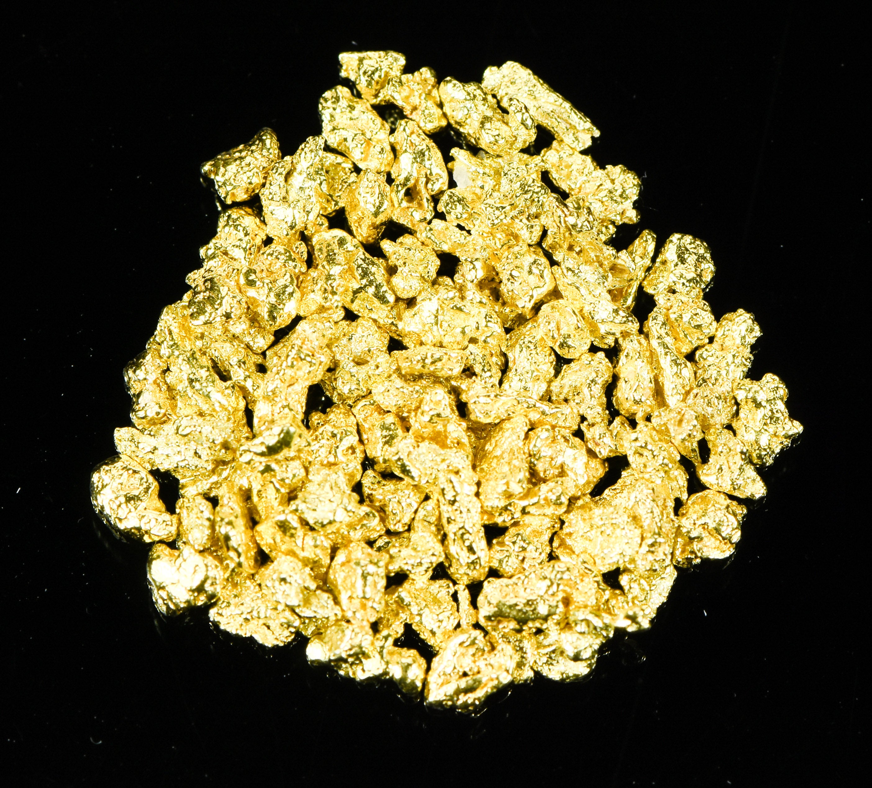 Alaskan Yukon BC Gold Nuggets 10 Mesh 1/4 Troy Oz 7.75 Gram 5 DWT