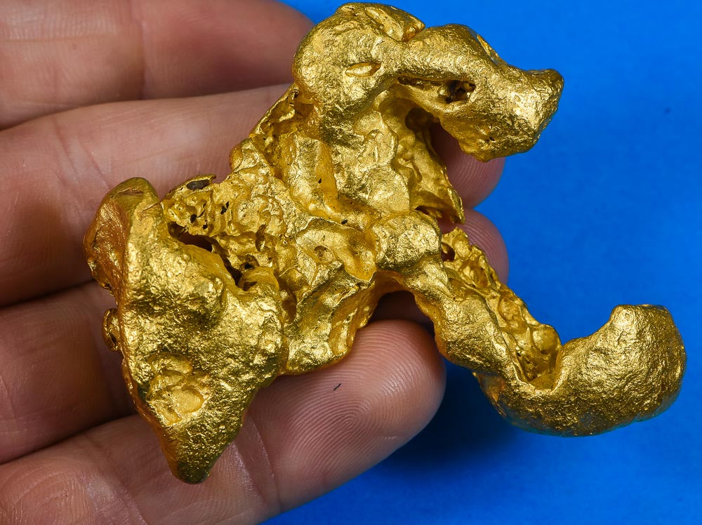 Large Natural Gold Nugget Australian 228.84 Grams 7.35 Troy Ounces Very Rare " The Lobster"
