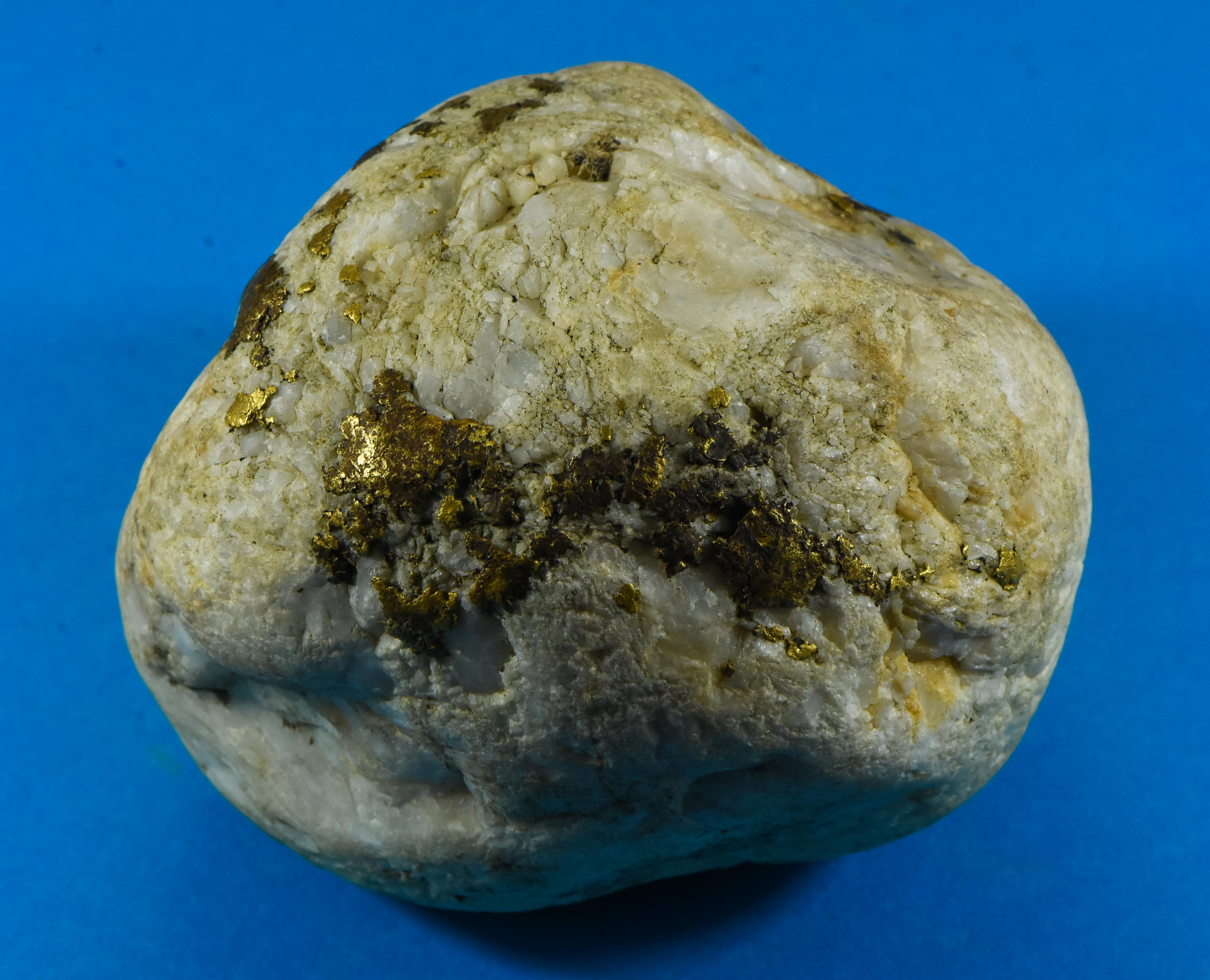 Large Gold Bearing Quartz Specimen Original 16-1 Mine California 1016.84 Grams Genuine 32.60 Troy Ounces