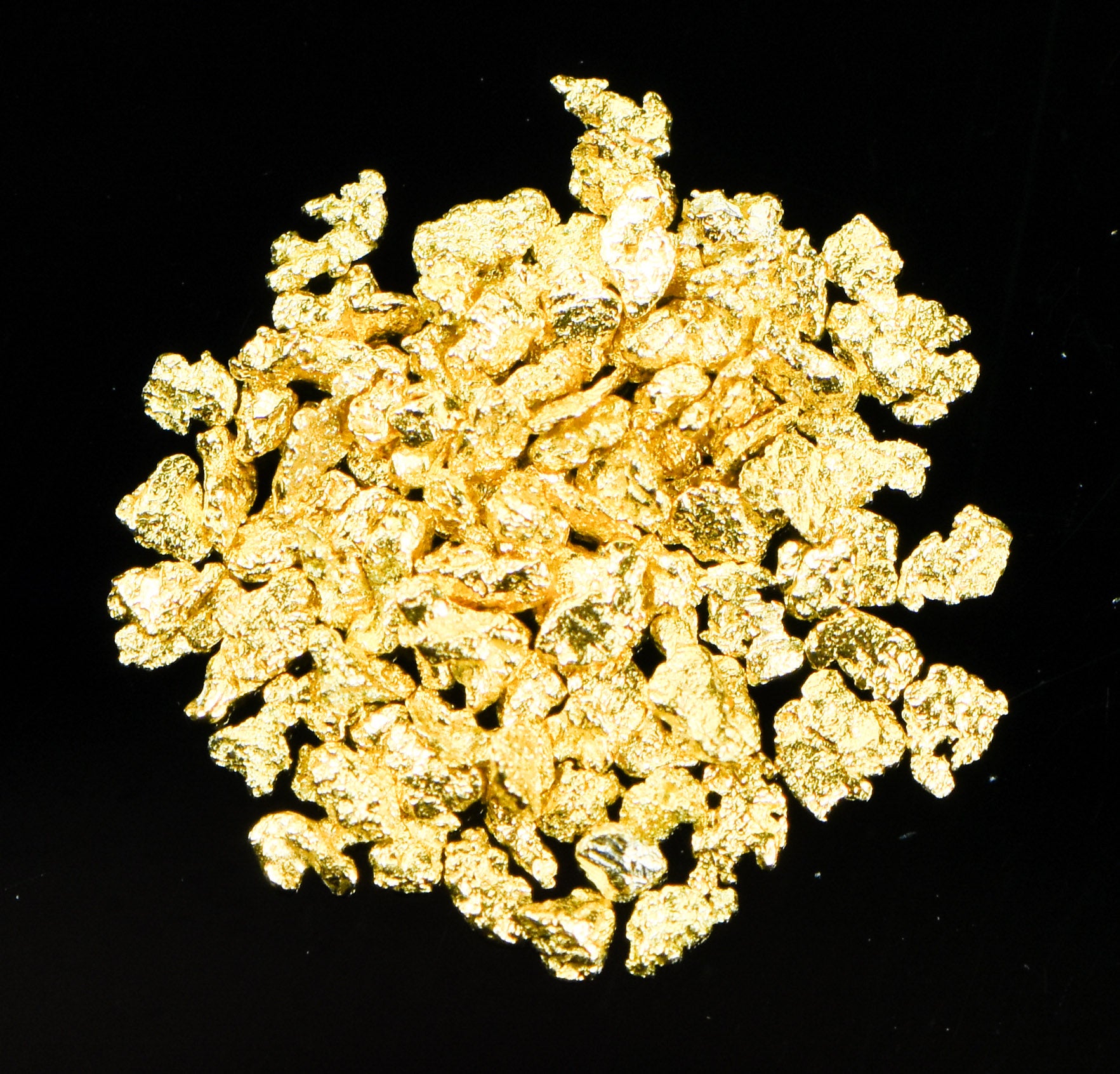 Alaskan Yukon Gold Rush Nuggets #20 Mesh . 5 GRAMS 1/2 GRAM